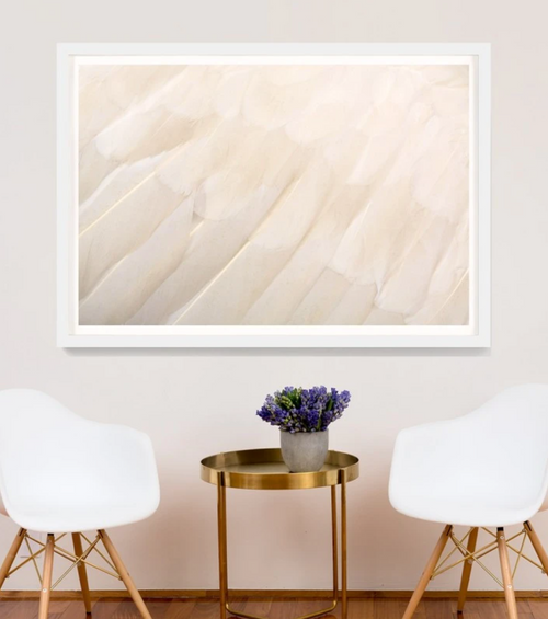 Animal 13 White Feather Artwork by Natural Curiosities