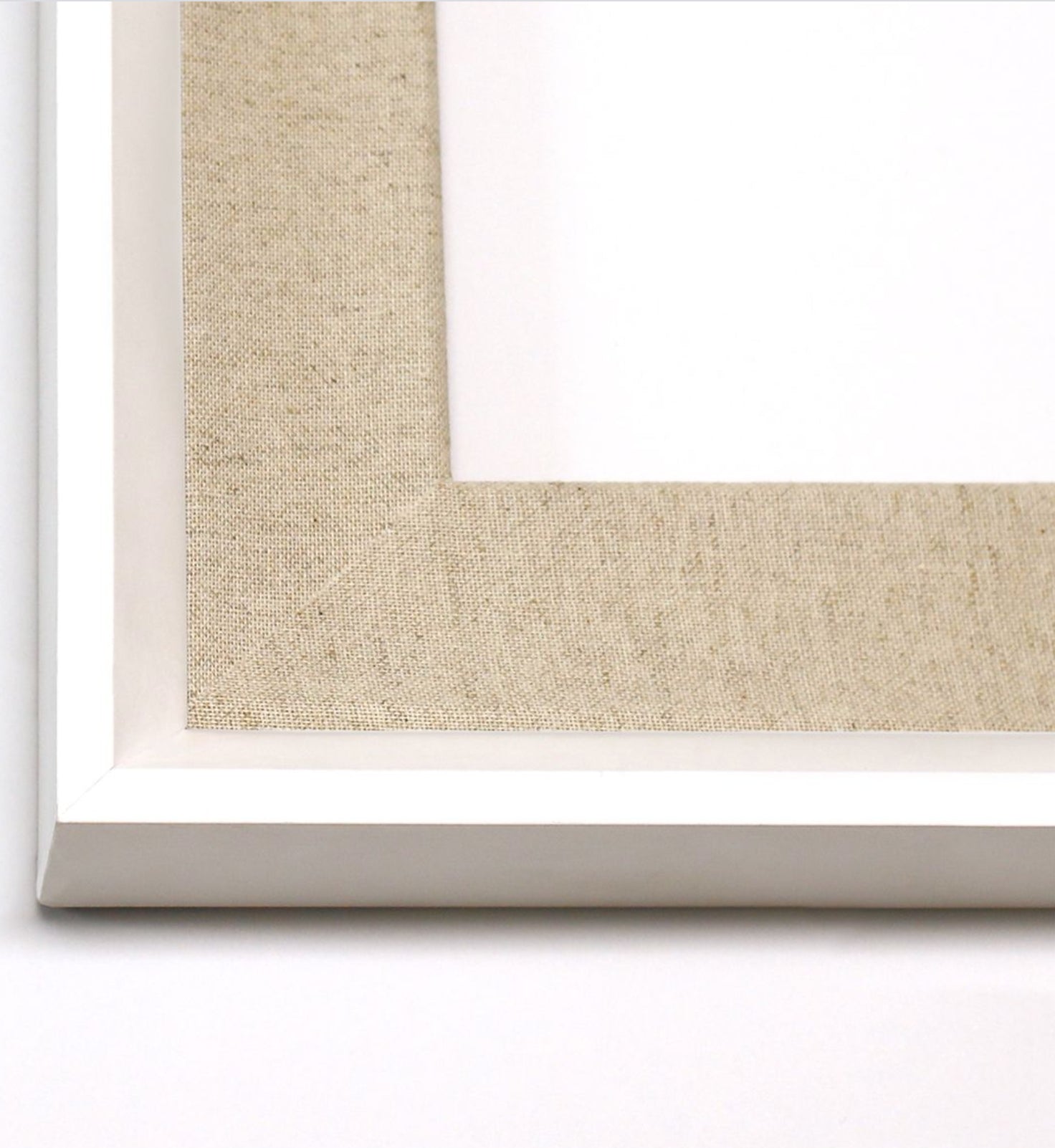 Natural Curiosities Pink Palms Art