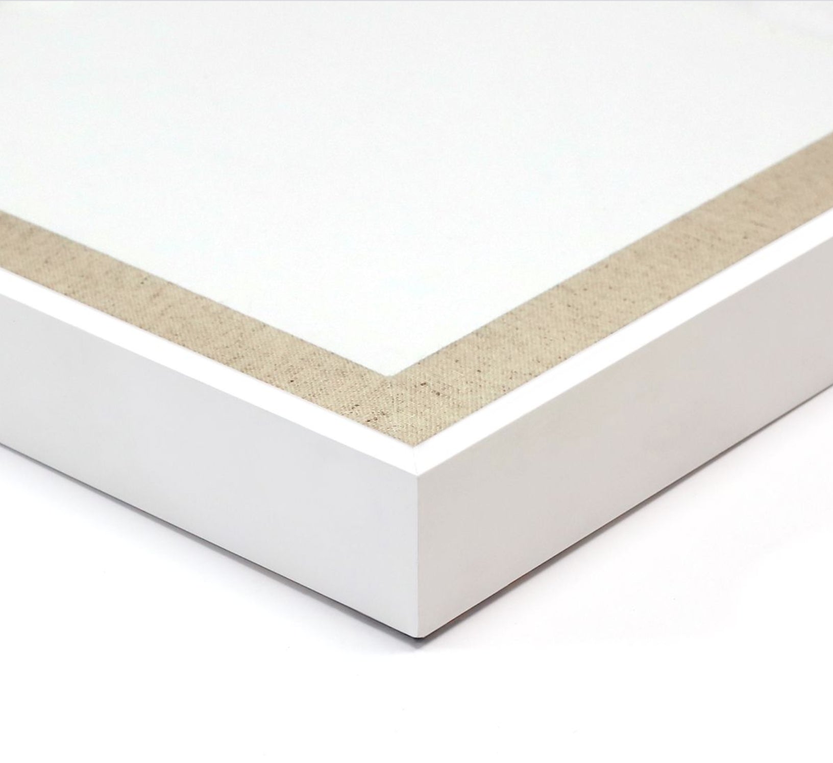 Natural Curiosities Tropicana 2 Art