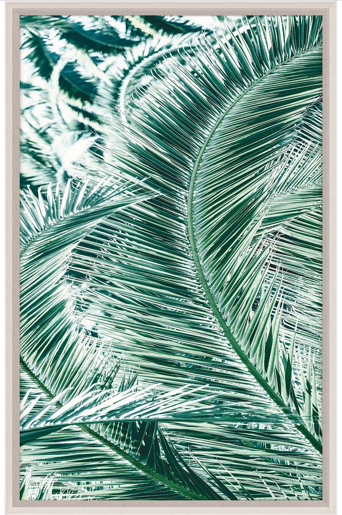 Natural Curiosities Tropicana 1 Art