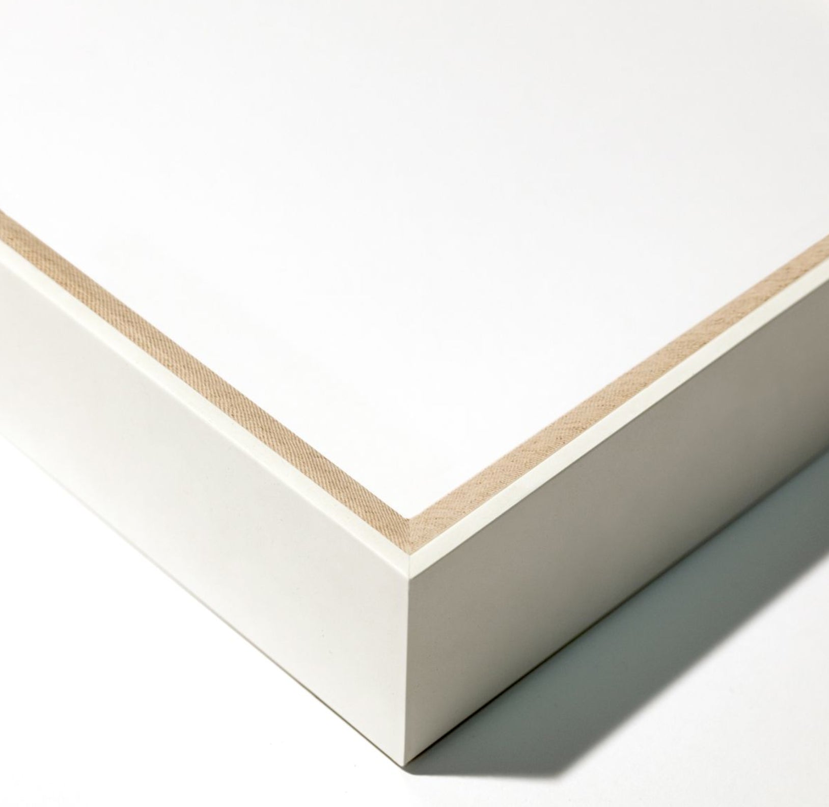 Natural Curiosities Pignier Toulouse 1 Art, Giclee