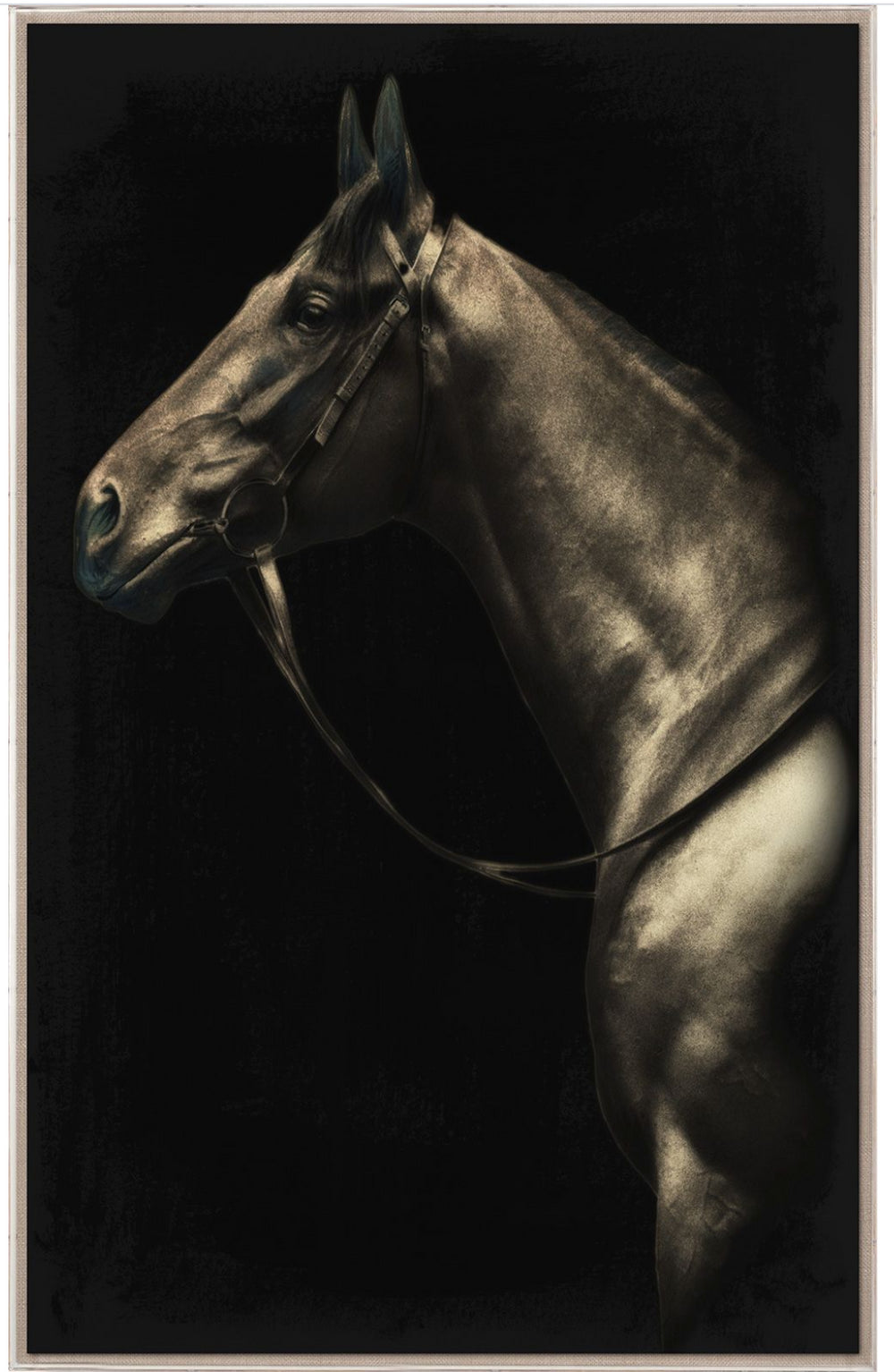 Natural Curiosities Caballus Horse 2 Art