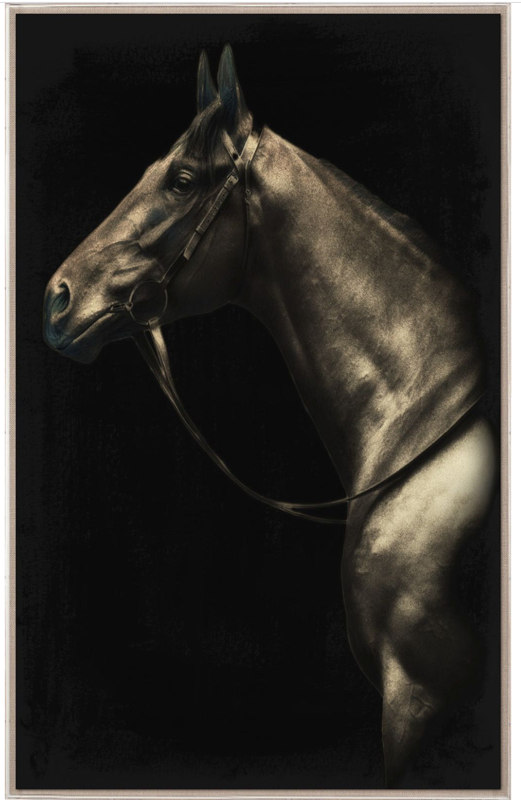 Natural Curiosities Caballus Horse 2 Art
