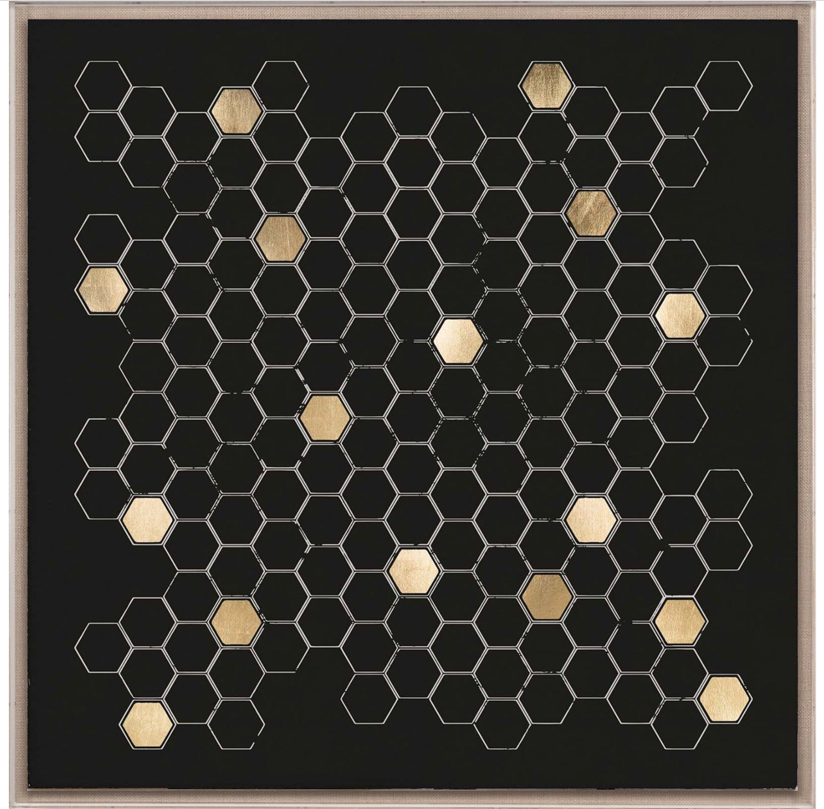 Natural Curiosities Beehive Nature Study 3 Art