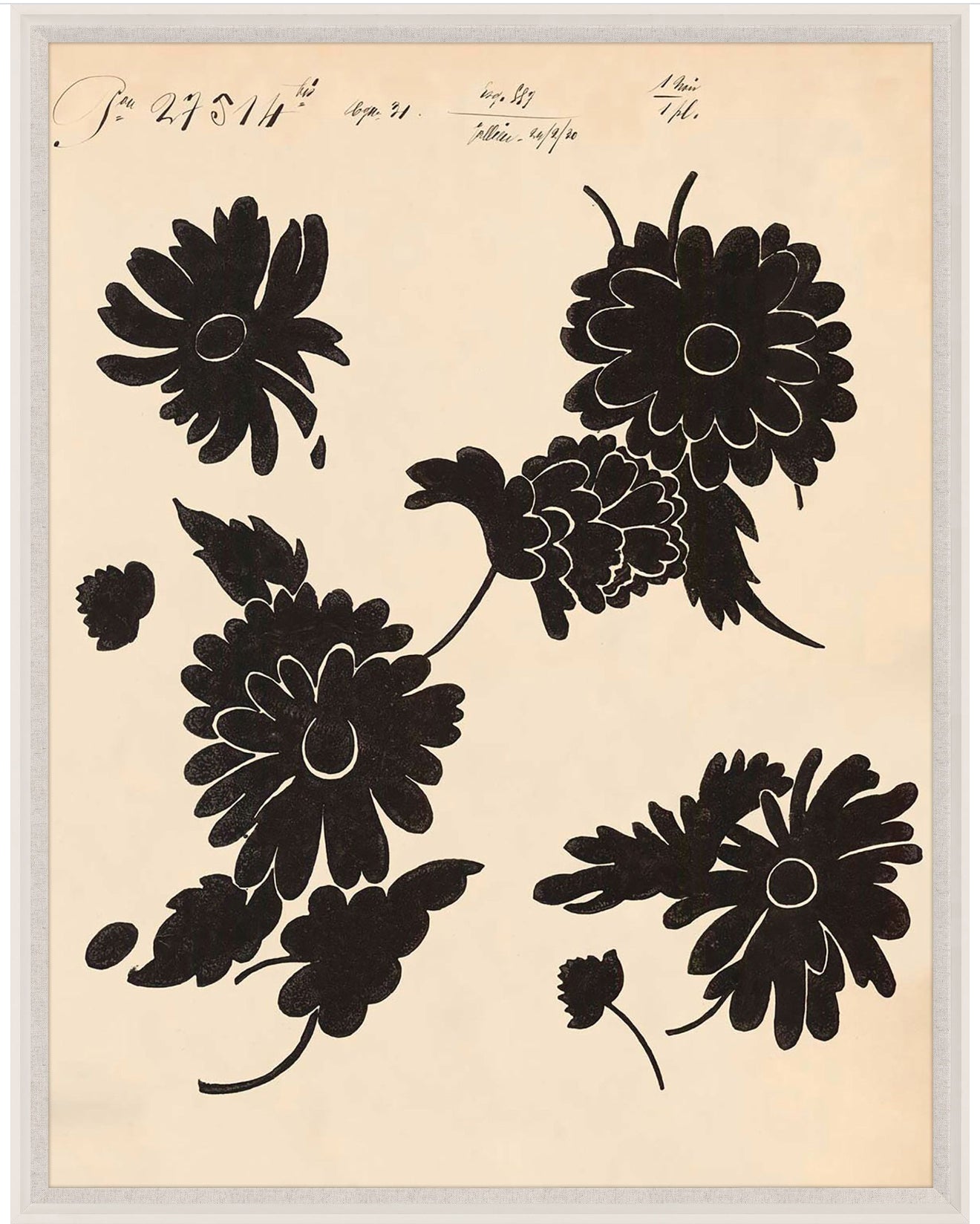 Natural Curiosities Pignier Toulouse 1 Art, Giclee