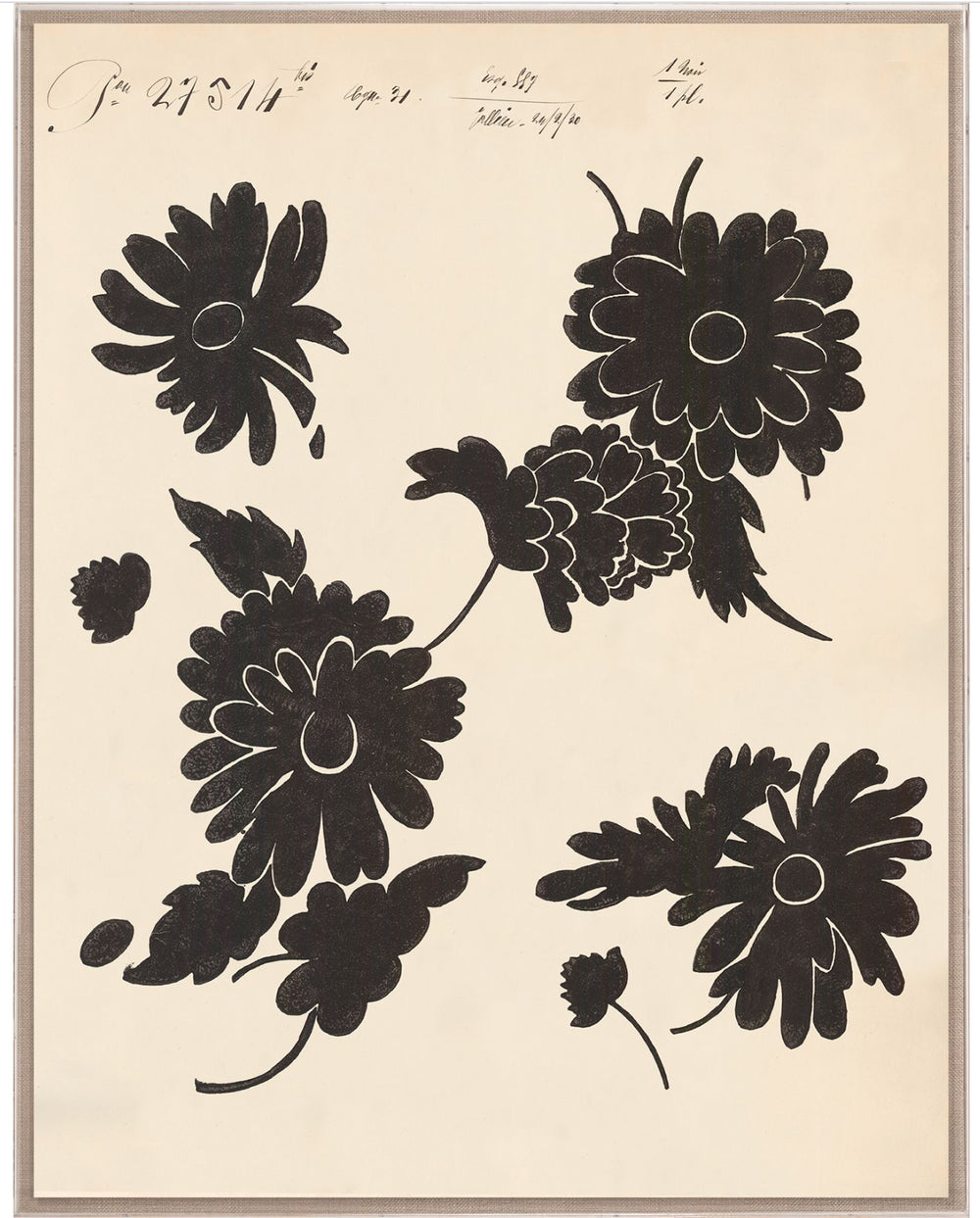 Natural Curiosities Pignier Toulouse 1 Art, Giclee