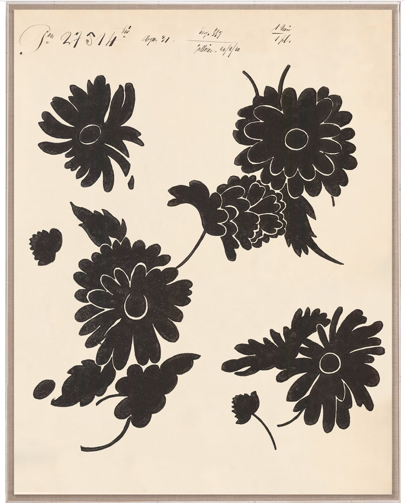 Natural Curiosities Pignier Toulouse 1 Art, Giclee