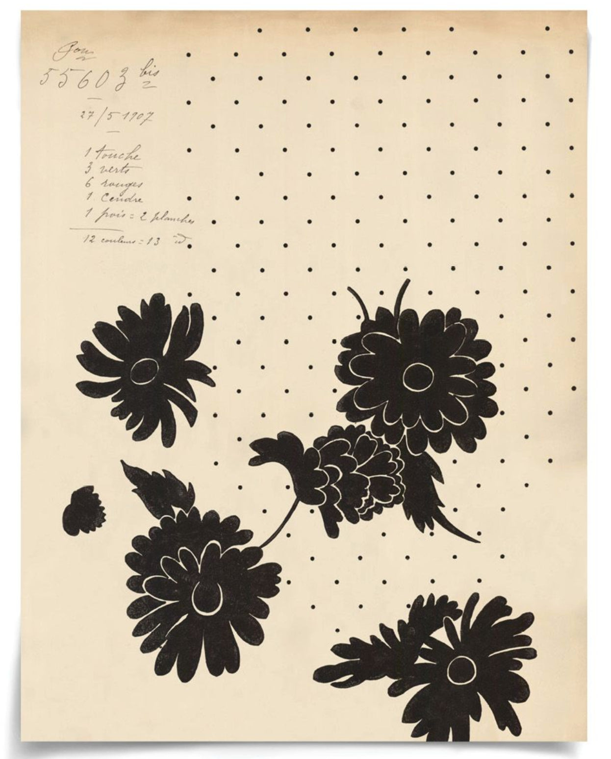 Natural Curiosities Pignier Touloue 2 Art Giclee