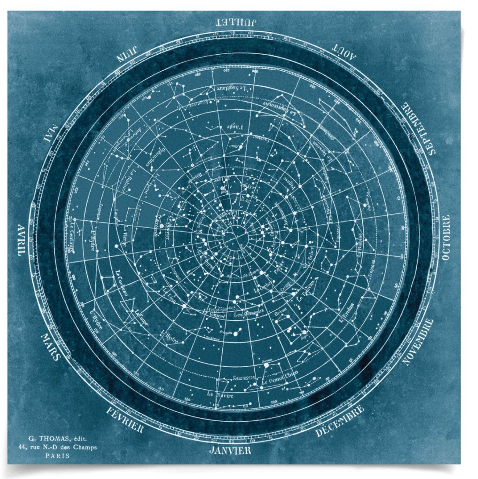Natural Curiosities Planisphere Art