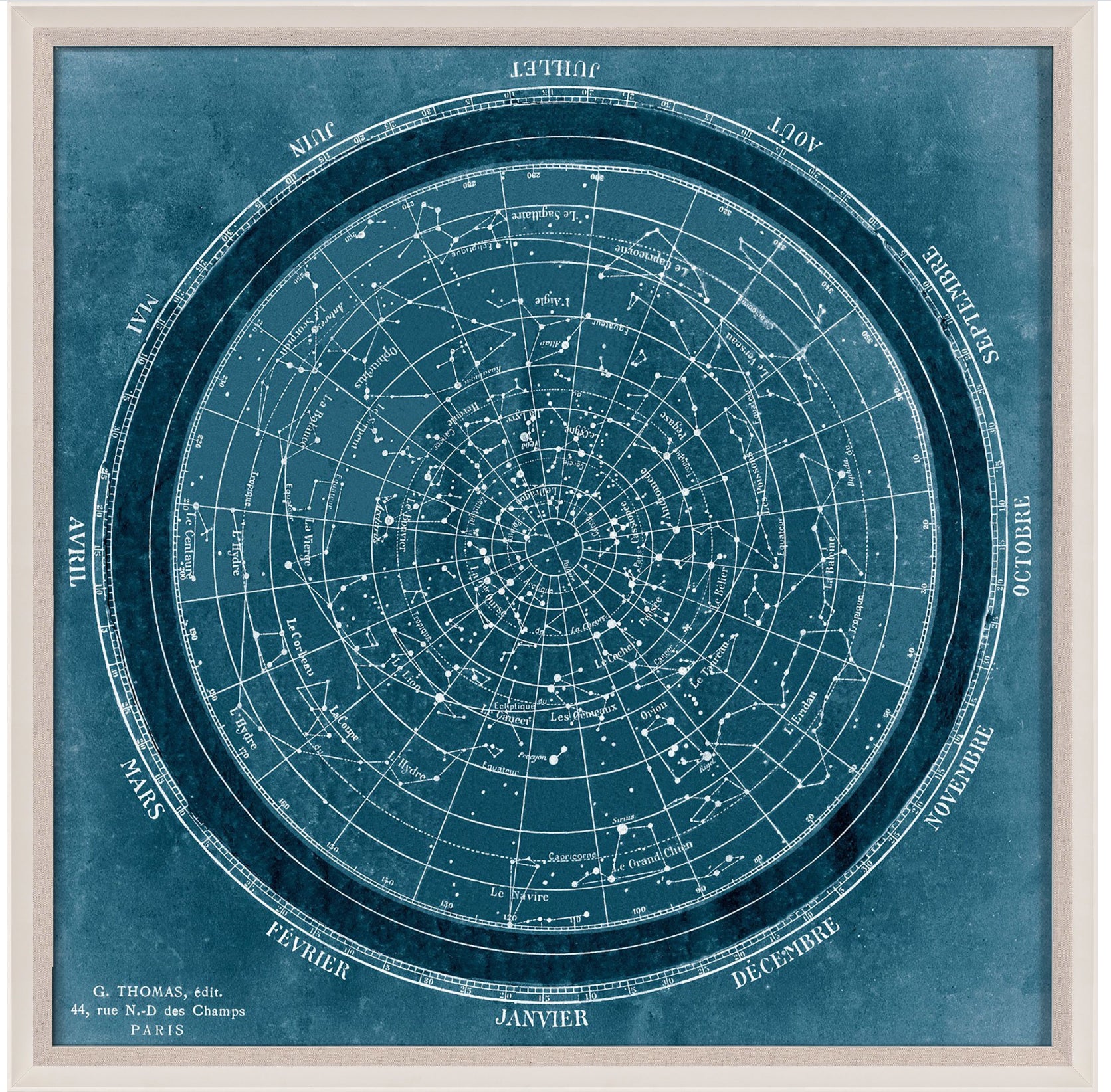 Natural Curiosities Planisphere Art