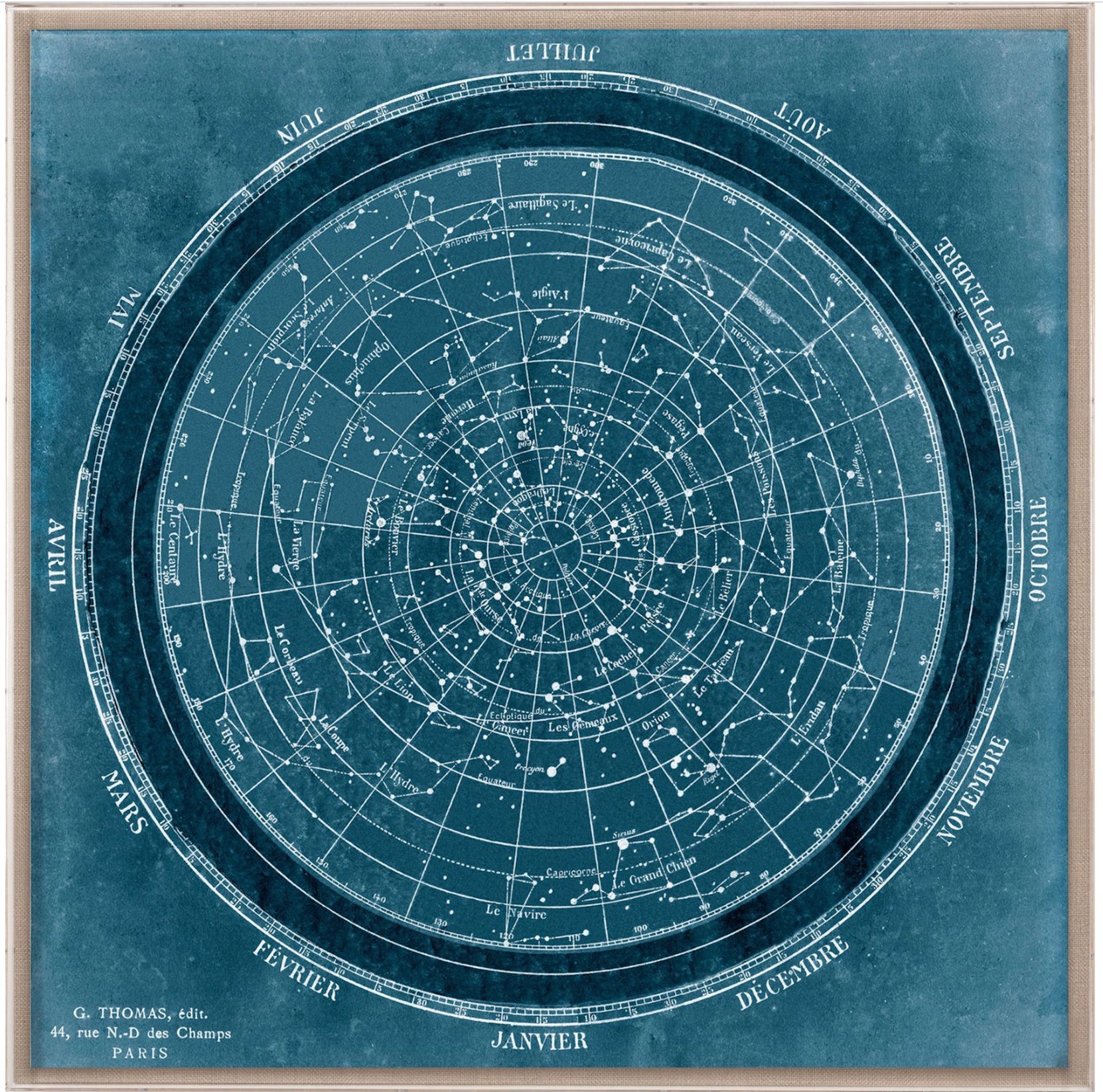 Natural Curiosities Planisphere Art