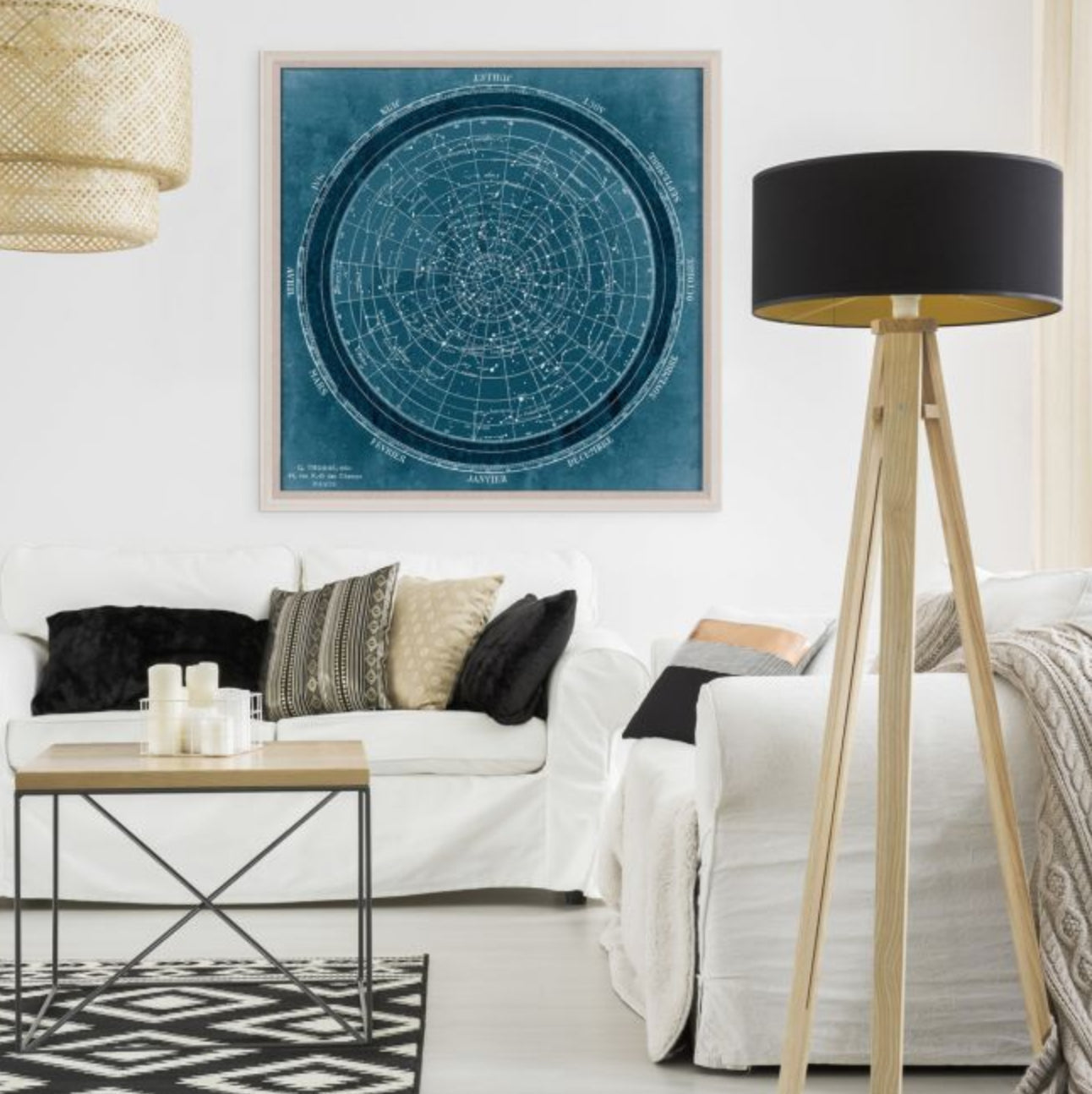 Natural Curiosities Planisphere Art