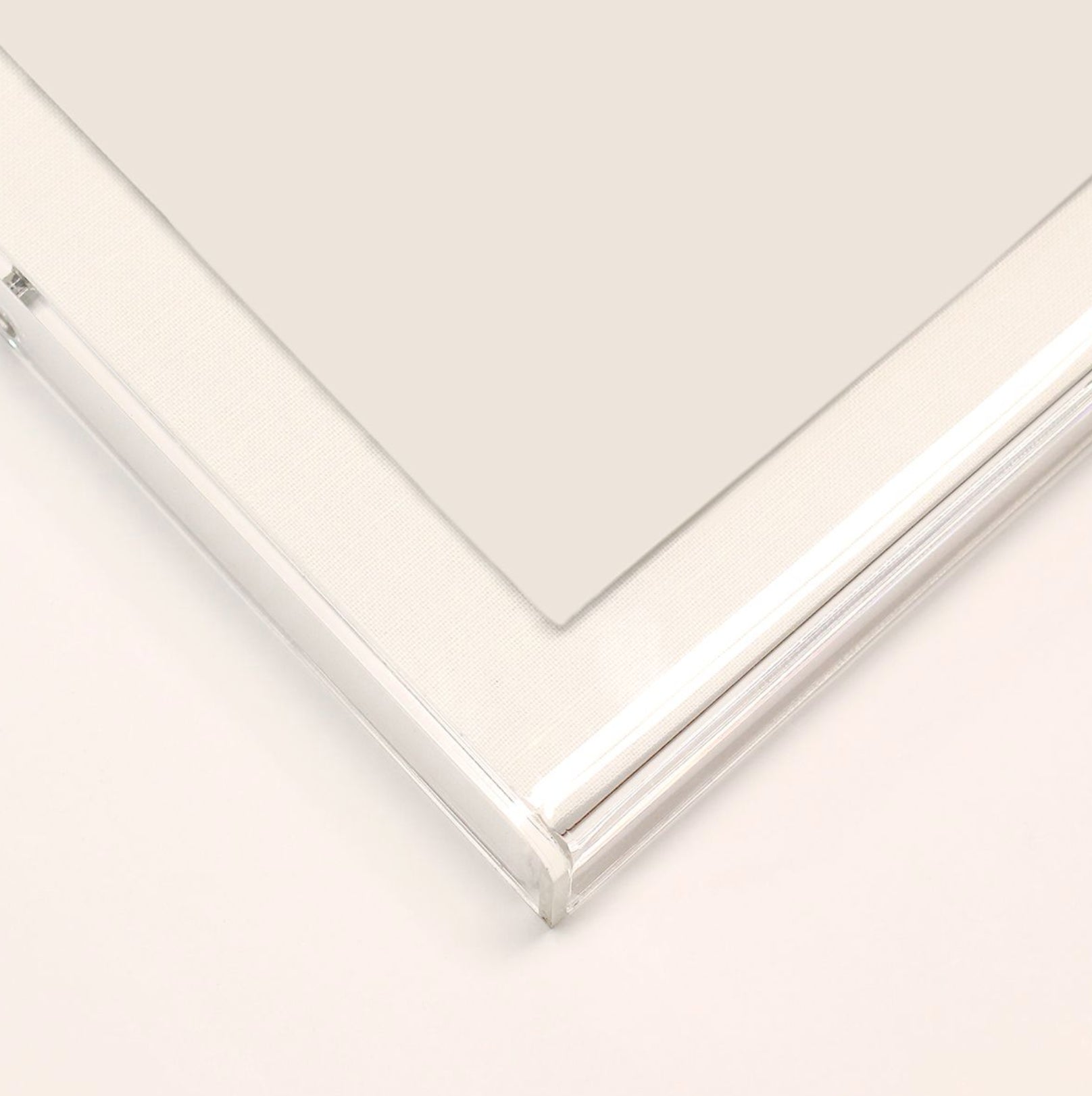 Natural Curiosities Modern Paradise, Modern Flower 2 Art