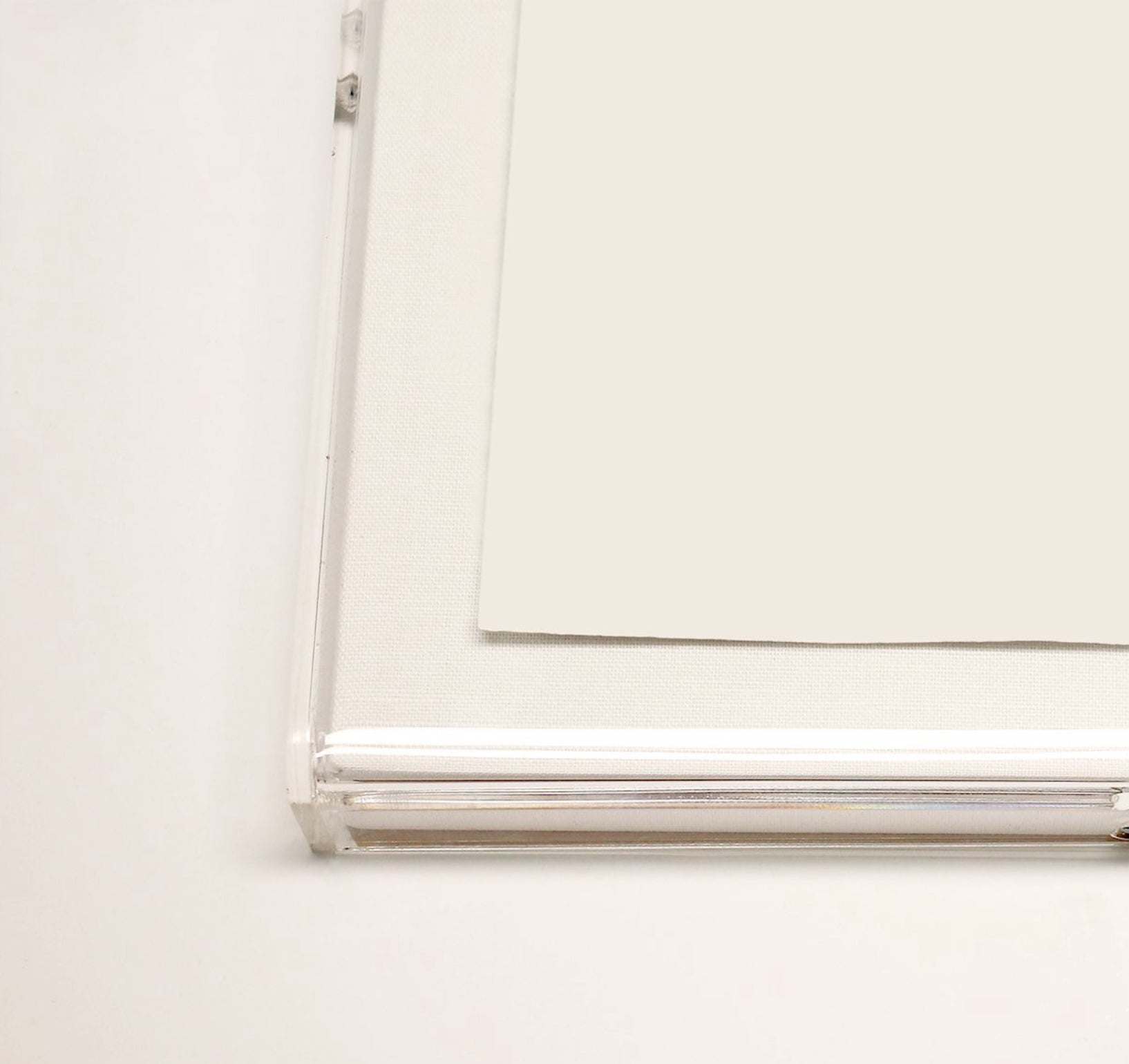 Natural Curiosities Modern Paradise, Modern Flower 2 Art