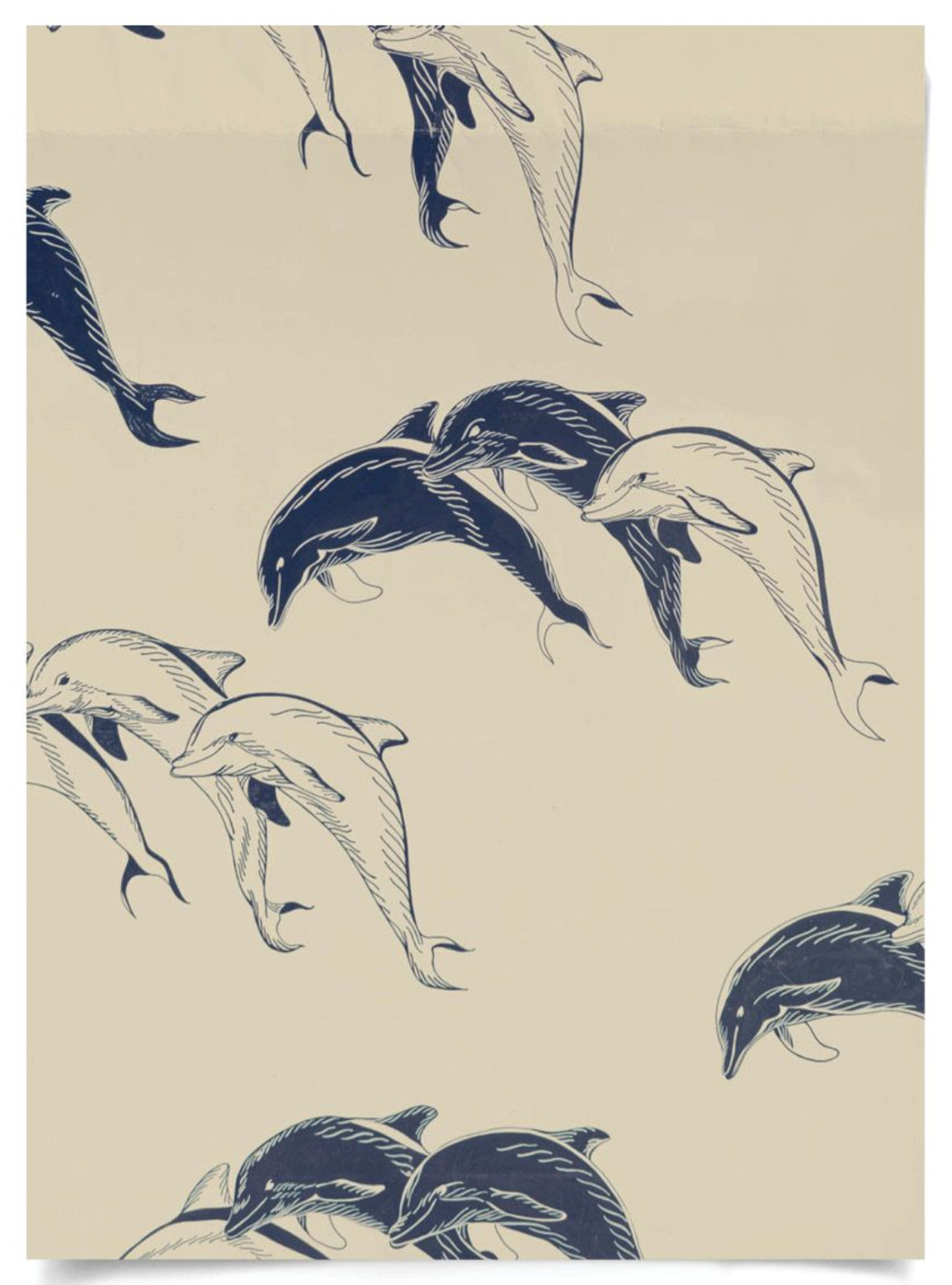 Natural Curiosities Modern Paradise, Swimming Dolphins 2