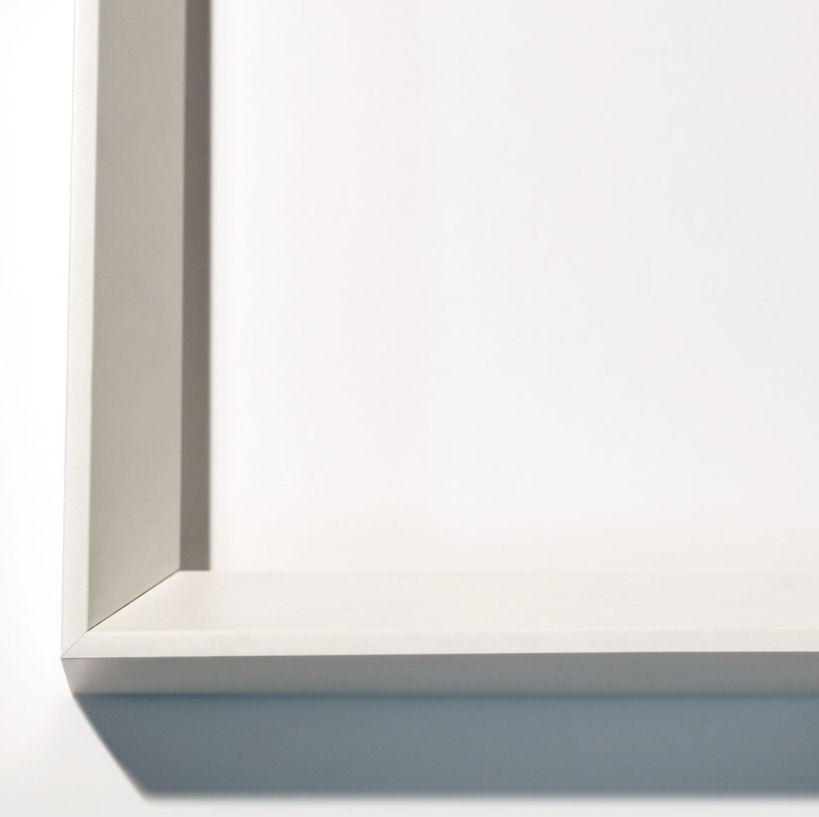 Natural Curiosities Flower Collection No.1 Art