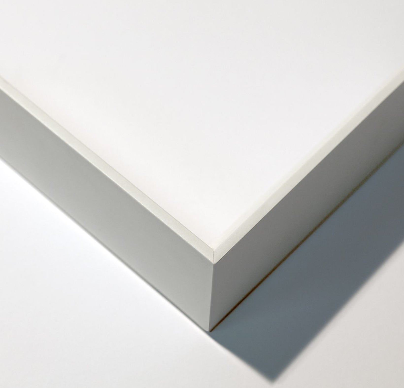 Natural Curiosities Flower Collection No.1 Art