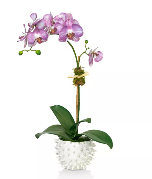 Diane James Home Purple Orchid Faux Floral Arrangement