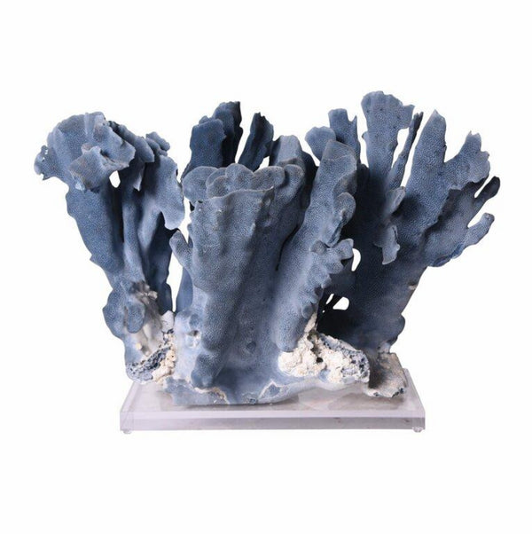 Coral on Acrylic Base by Legend of Asia