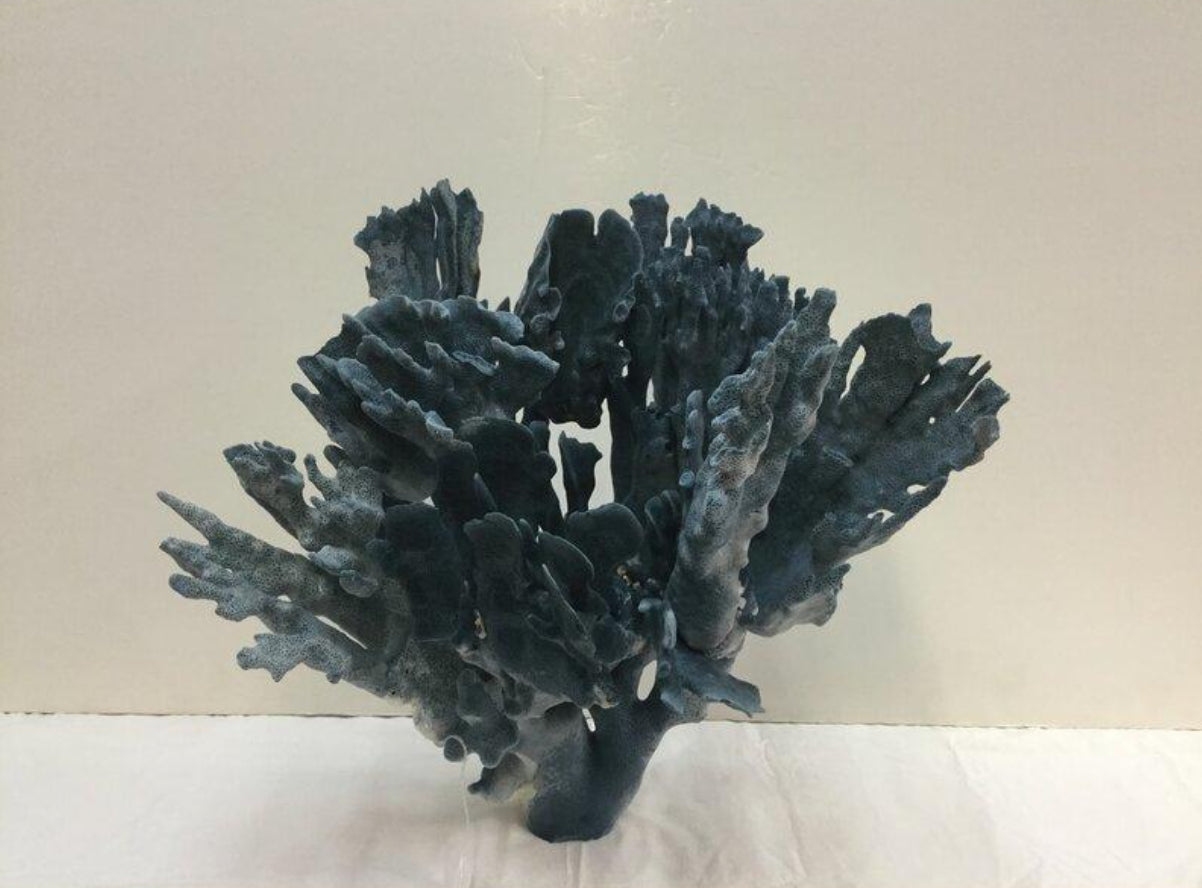 Coral on Acrylic Base by Legend of Asia