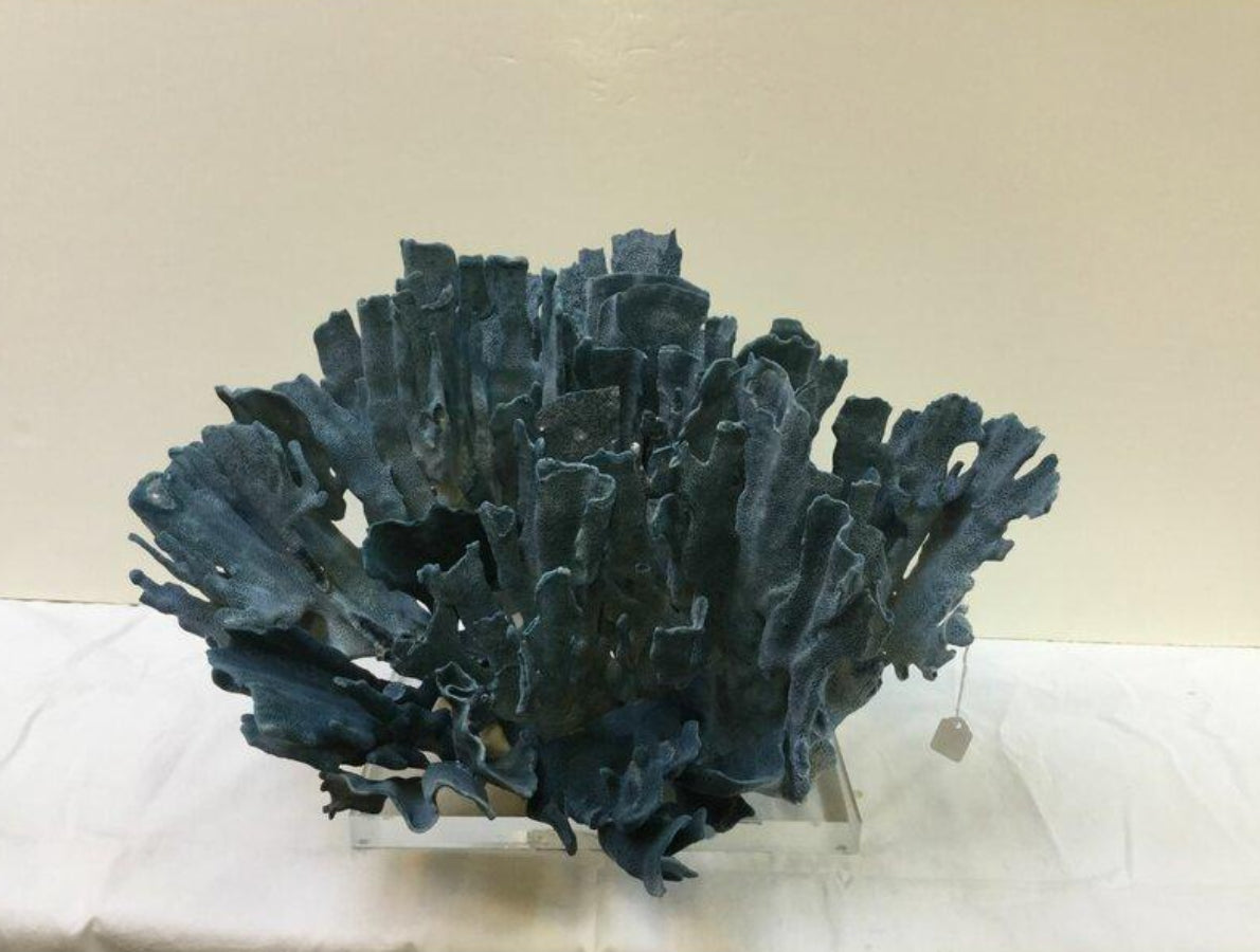 Coral on Acrylic Base by Legend of Asia