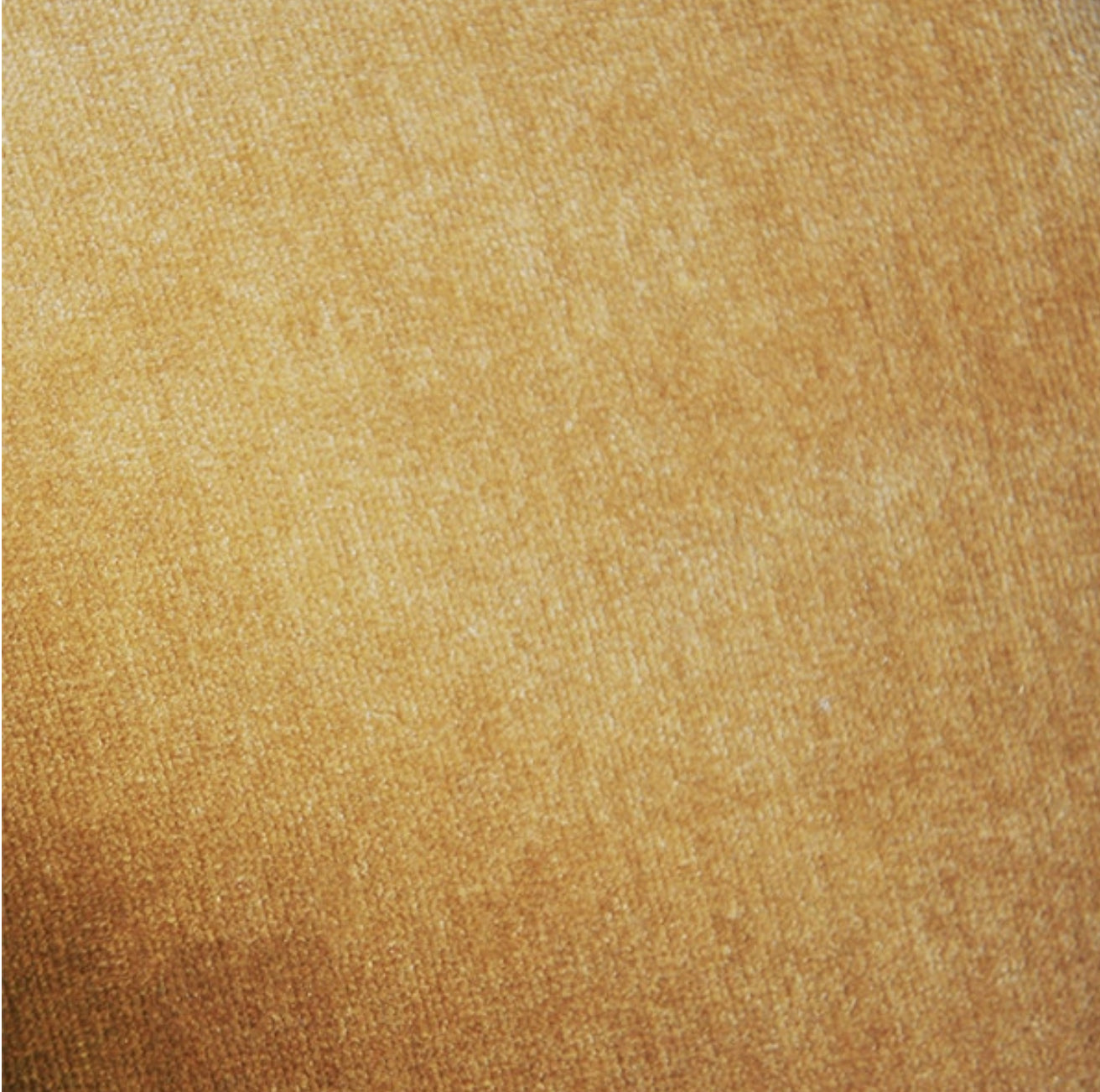 Worlds Away Baylor Counter Stool