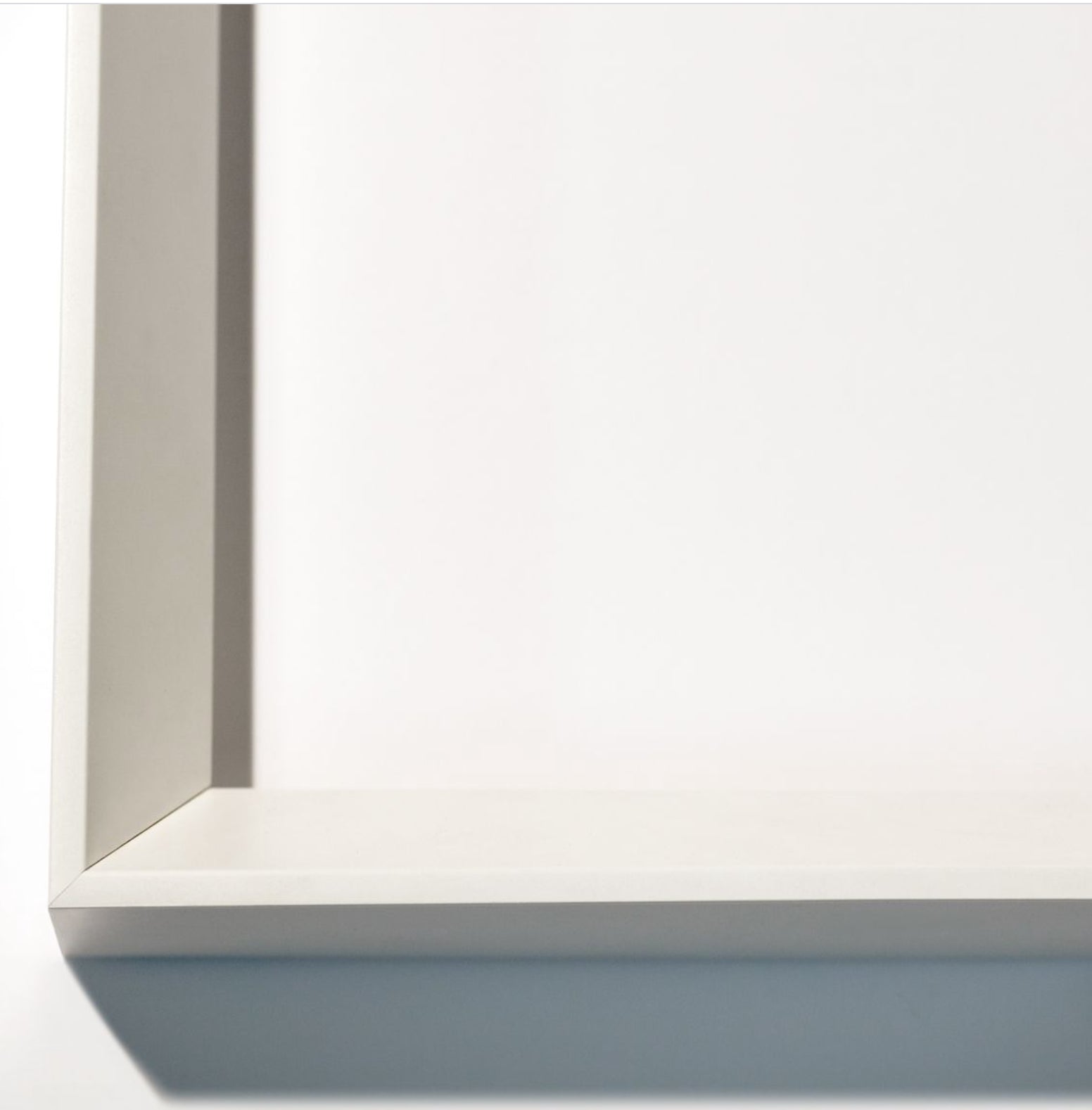 Natural Curiosities Flower Collection No.2 Art