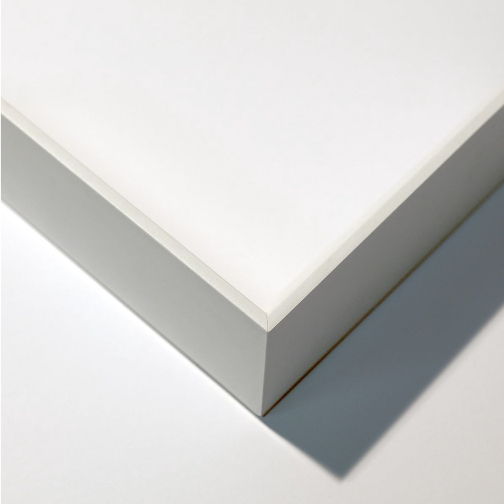 Natural Curiosities Flower Collection No. 2 Art