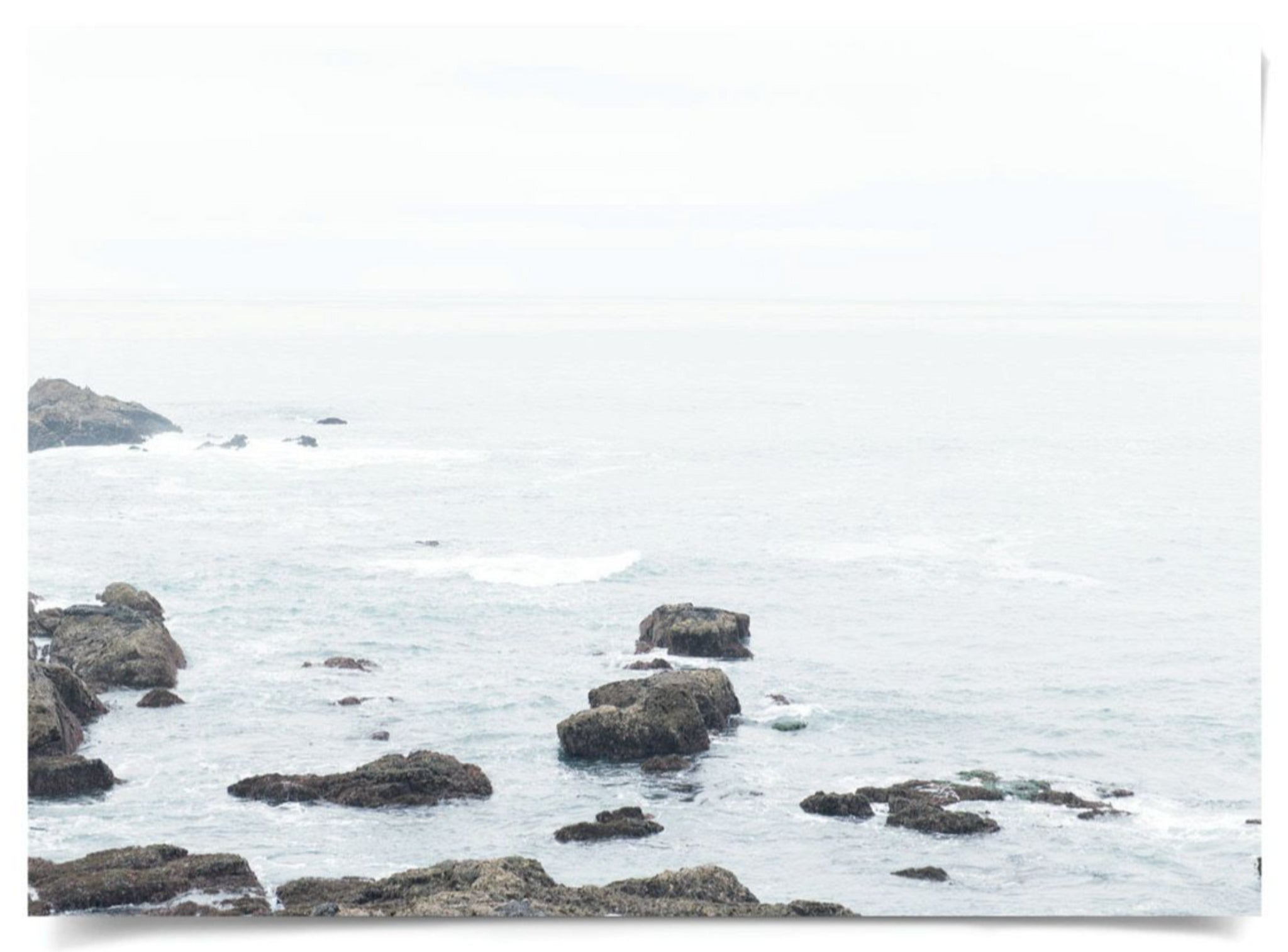 Natural Curiosities Sea Mist 1 Art