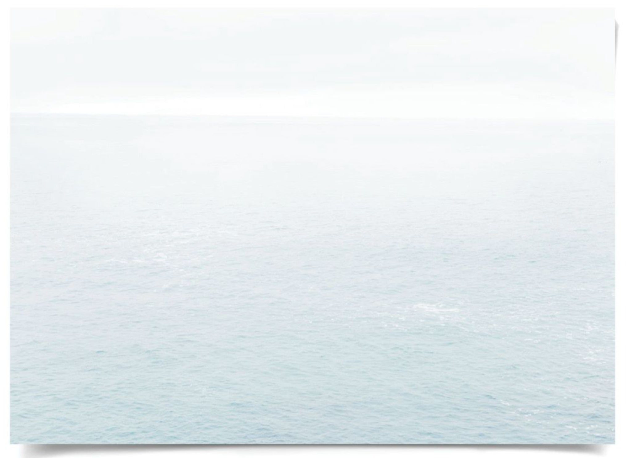 Natural Curiosities Sea Mist Art, 2