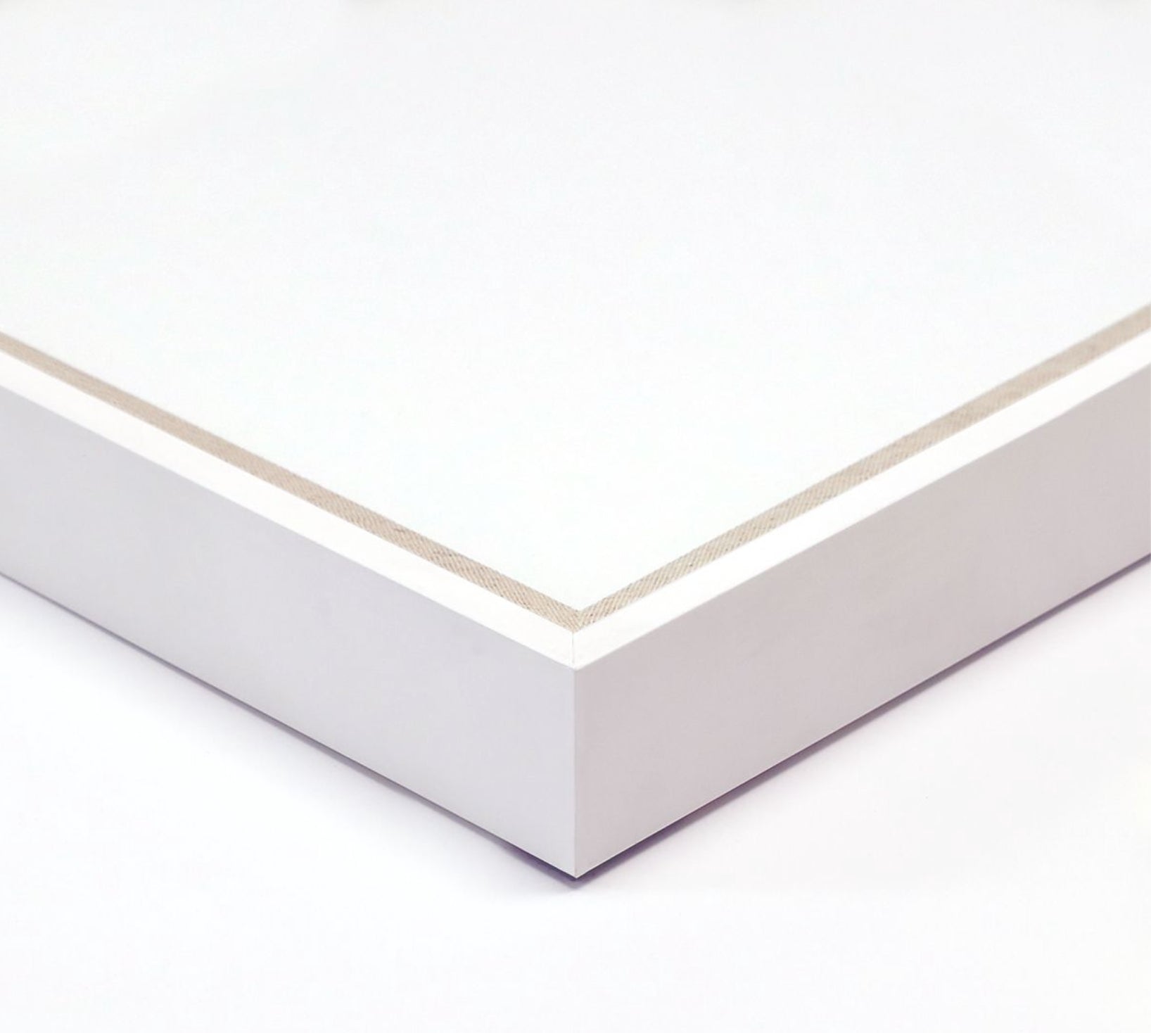 Natural Curiosities Lord Bodner Triptych in Blue, Framed