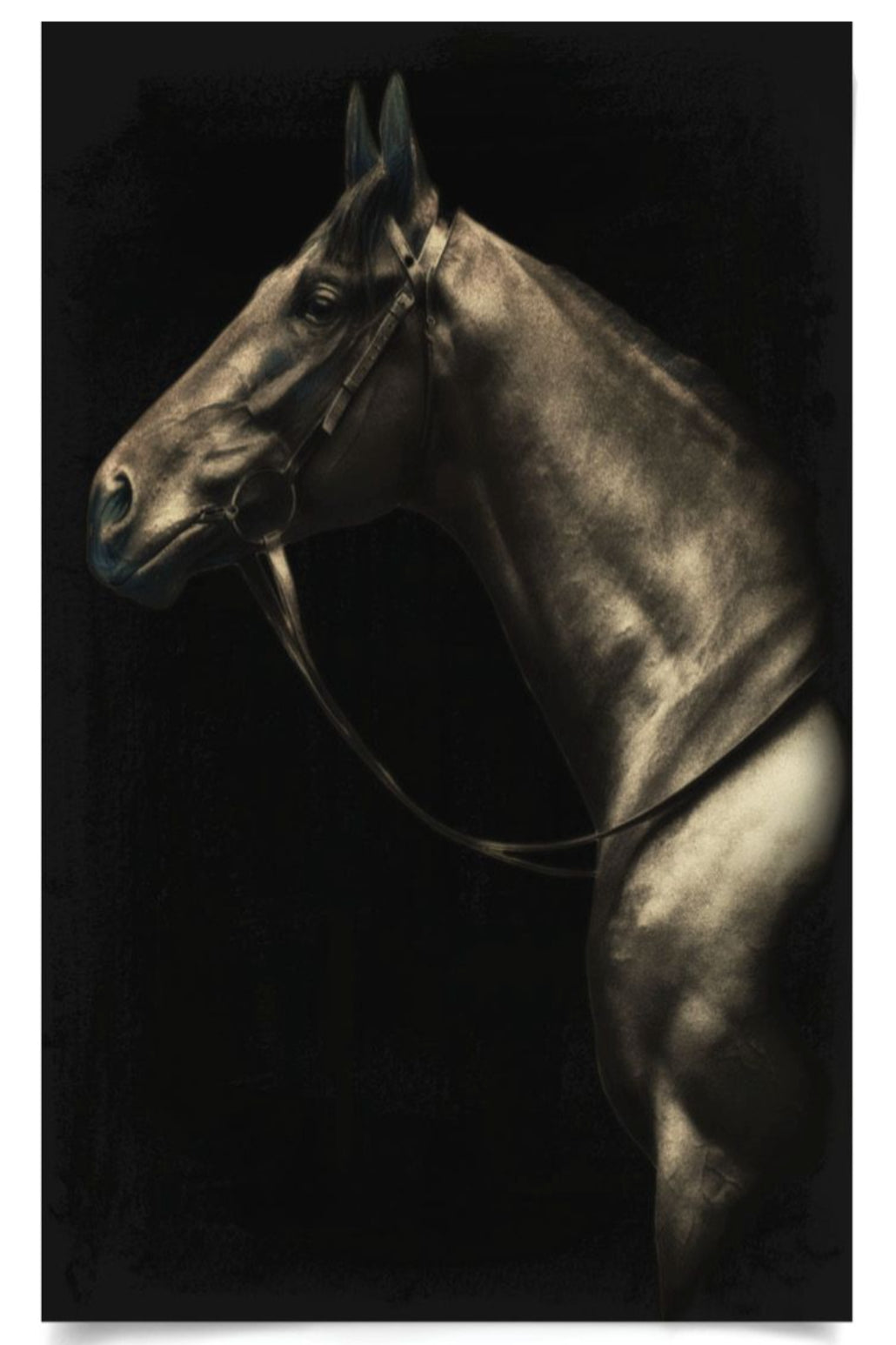 Natural Curiosities Caballus Horse 2 Art