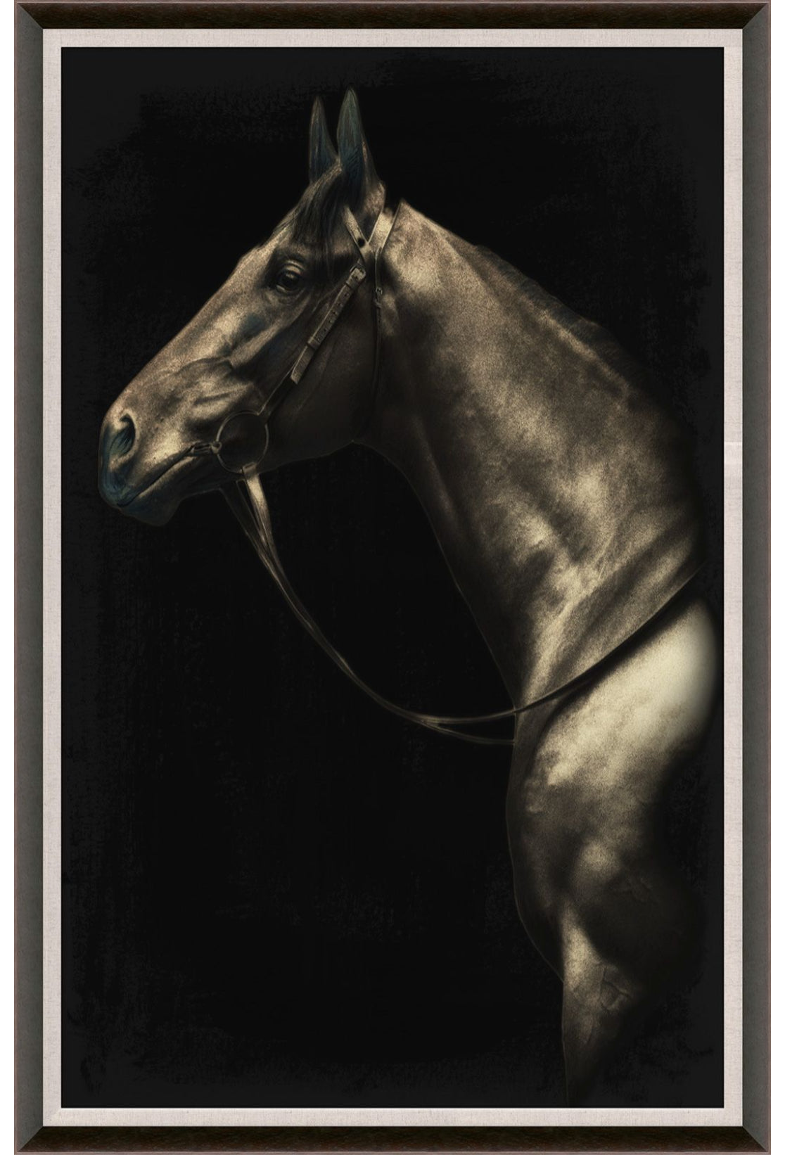 Natural Curiosities Caballus Horse 2 Art