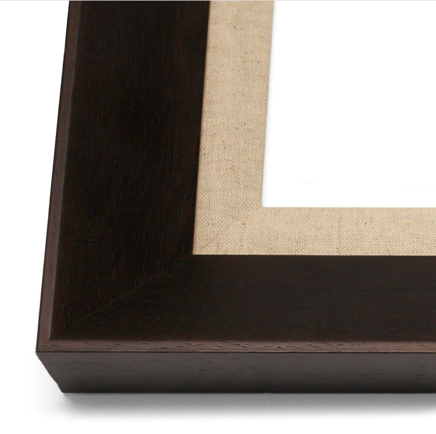 Natural Curiosities Caballus Horse 1 Art