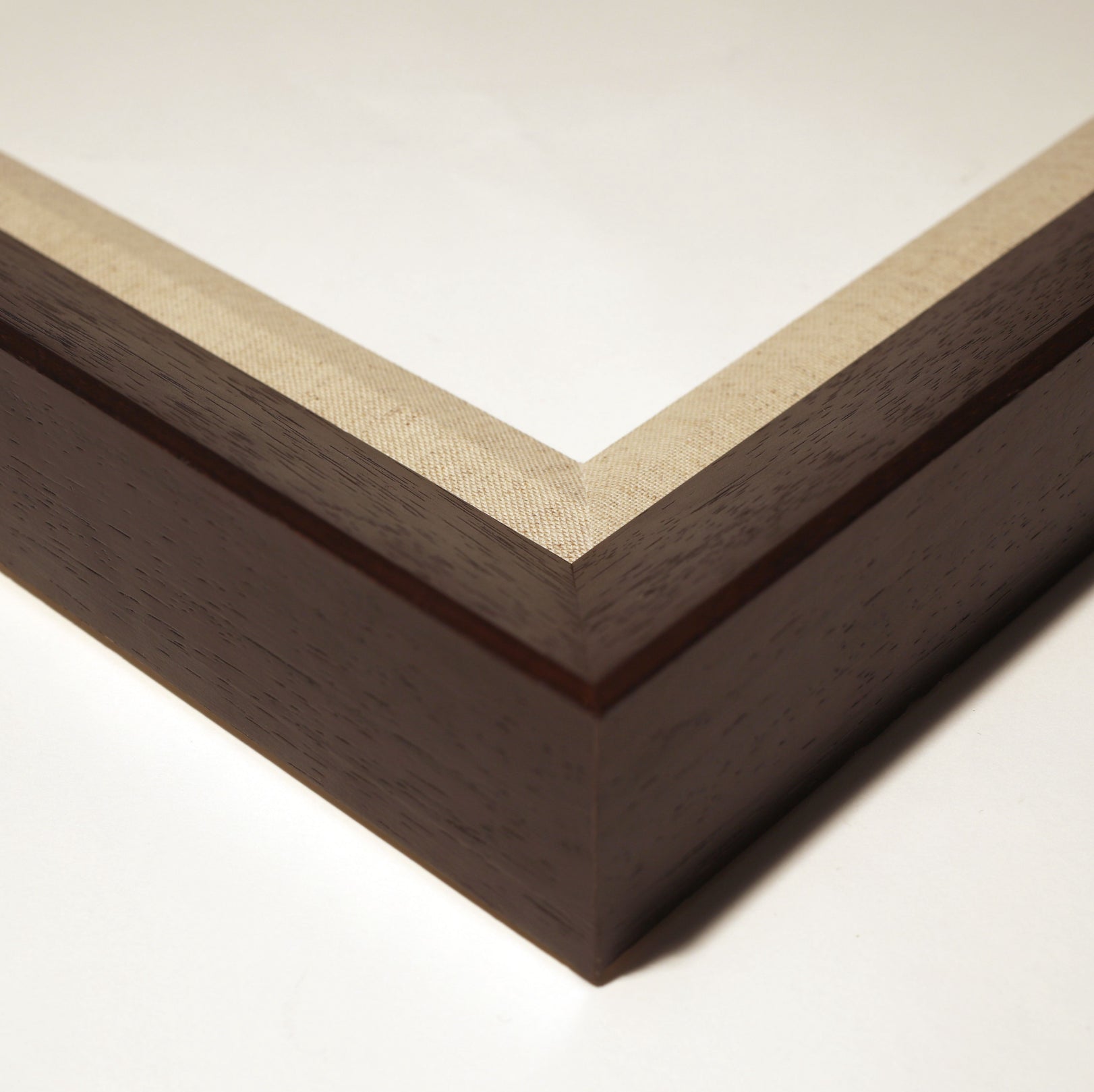 Natural Curiosities Caballus Horse 1 Art