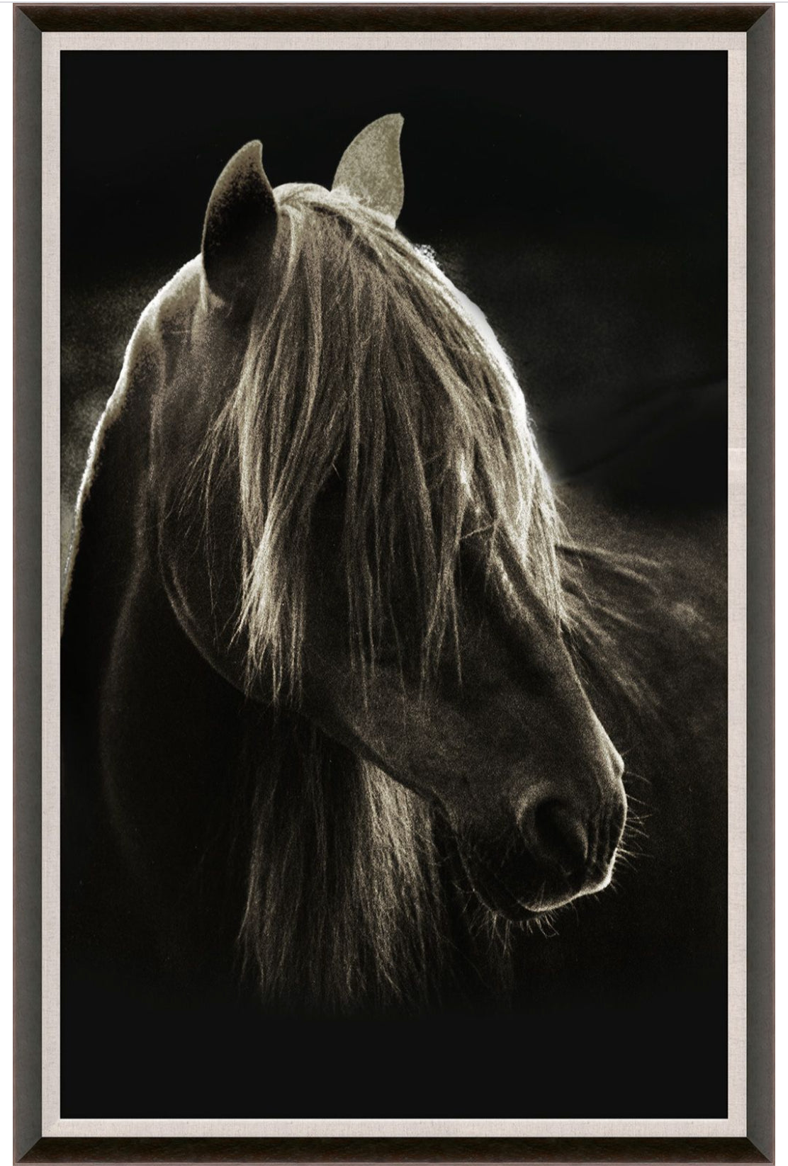 Natural Curiosities Caballus Horse 1 Art