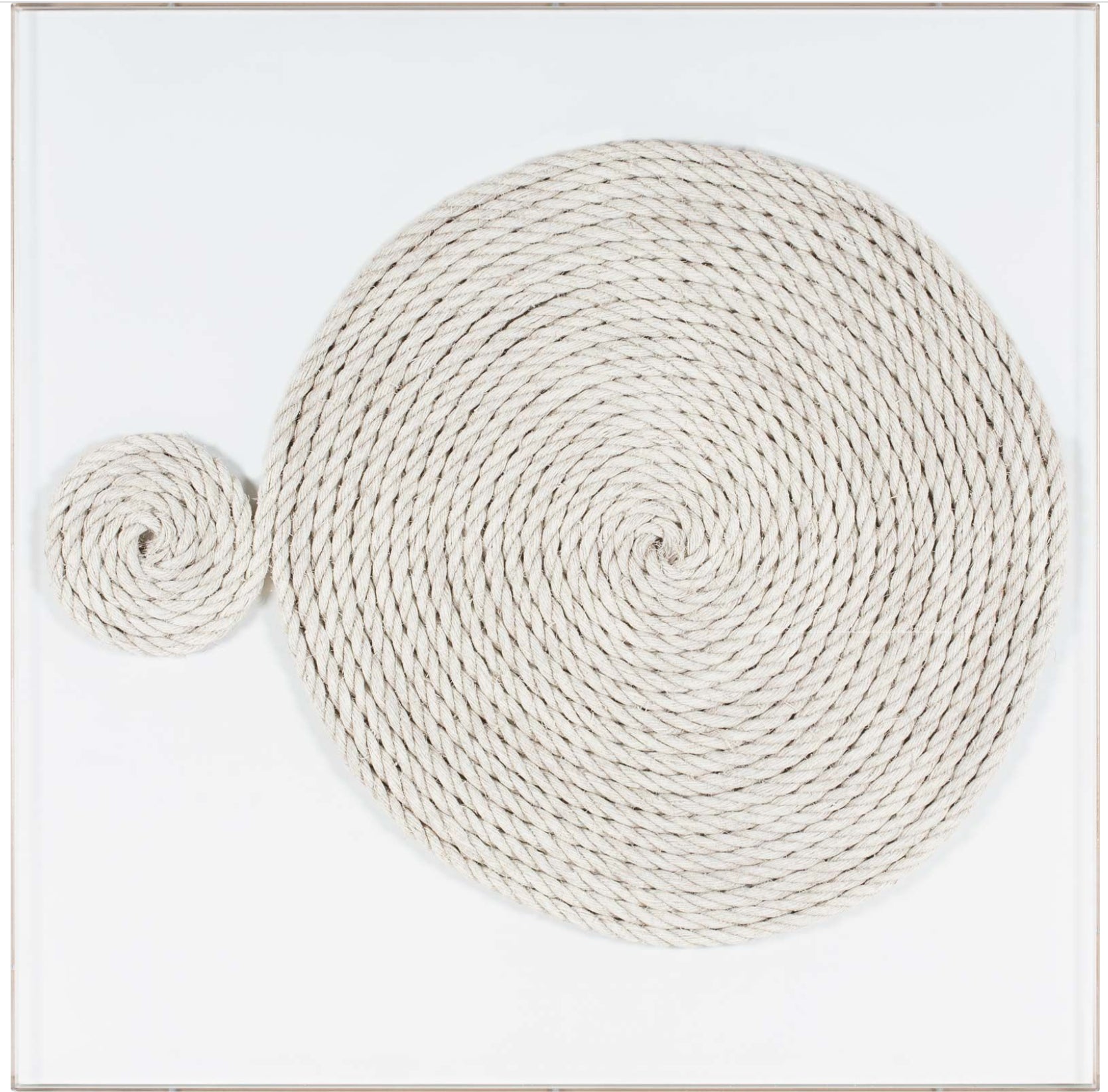 Natural Curiosities Unwind Wall Art