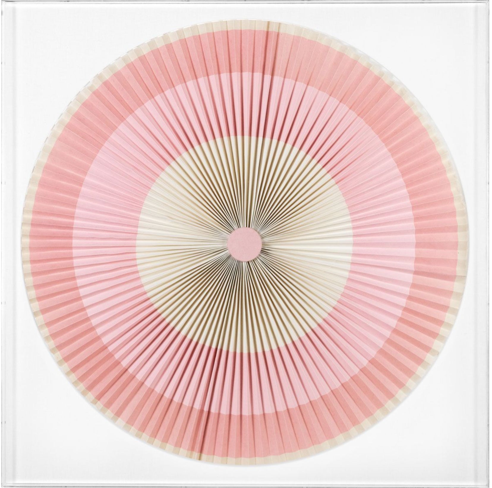 Natural Curiosities Folded Dreams 6