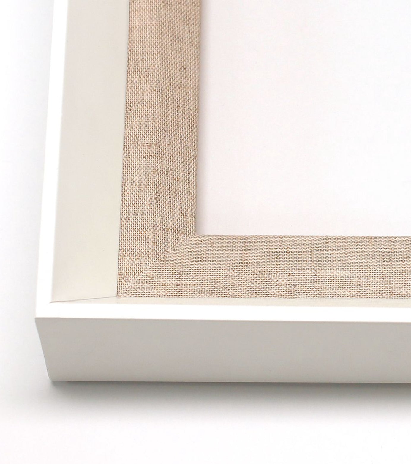 Natural Curiosities Carnations 4 Art