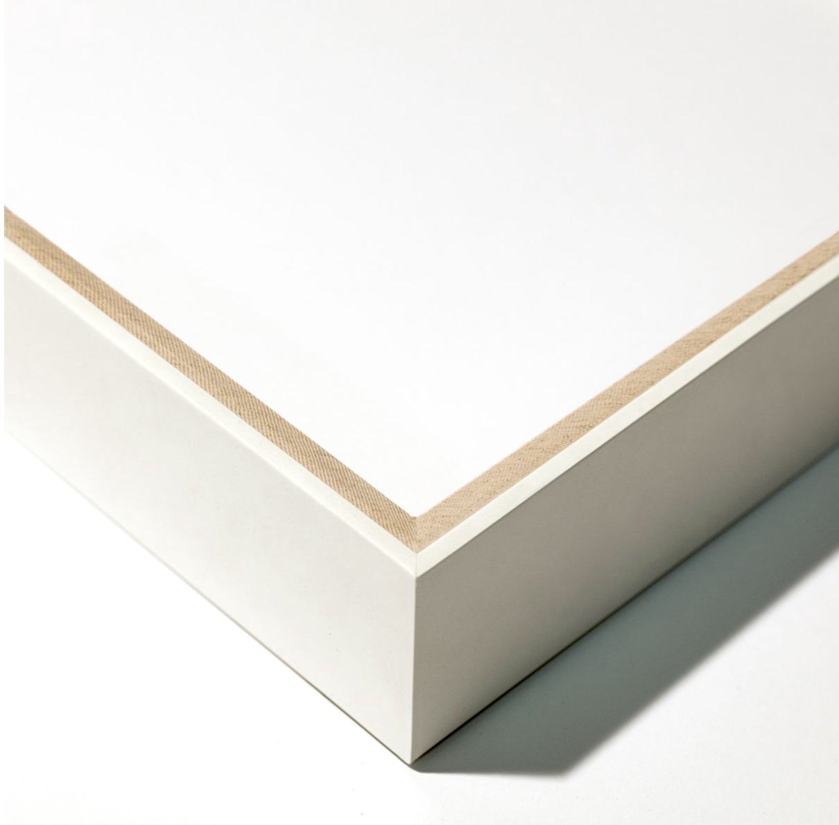 Natural Curiosities Carnations 2 Art