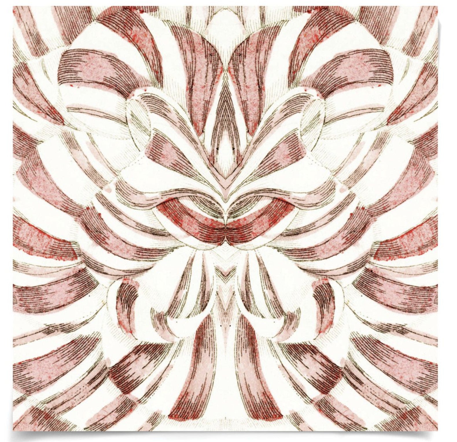 Natural Curiosities Carnations 2 Art