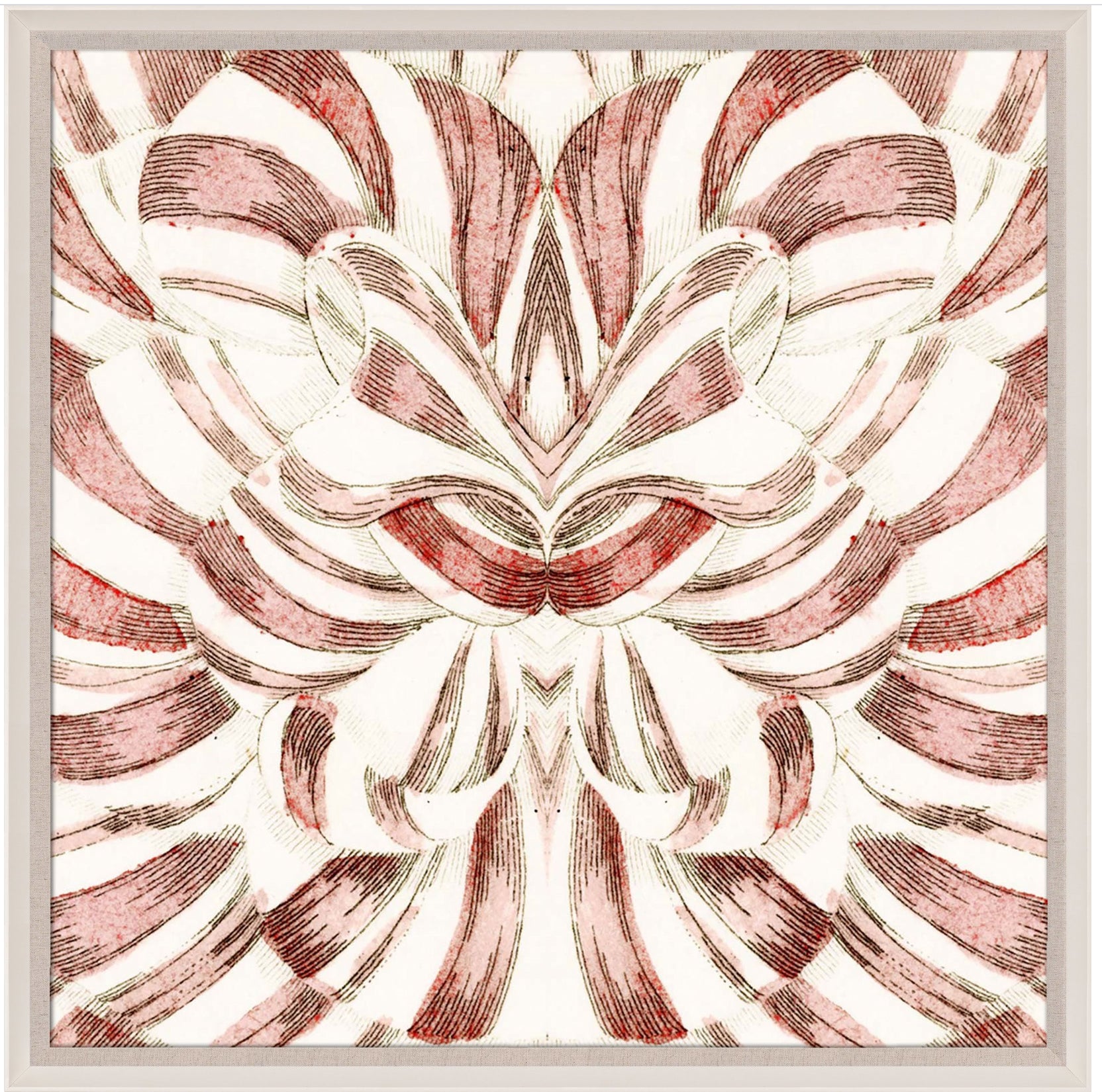 Natural Curiosities Carnations 2 Art