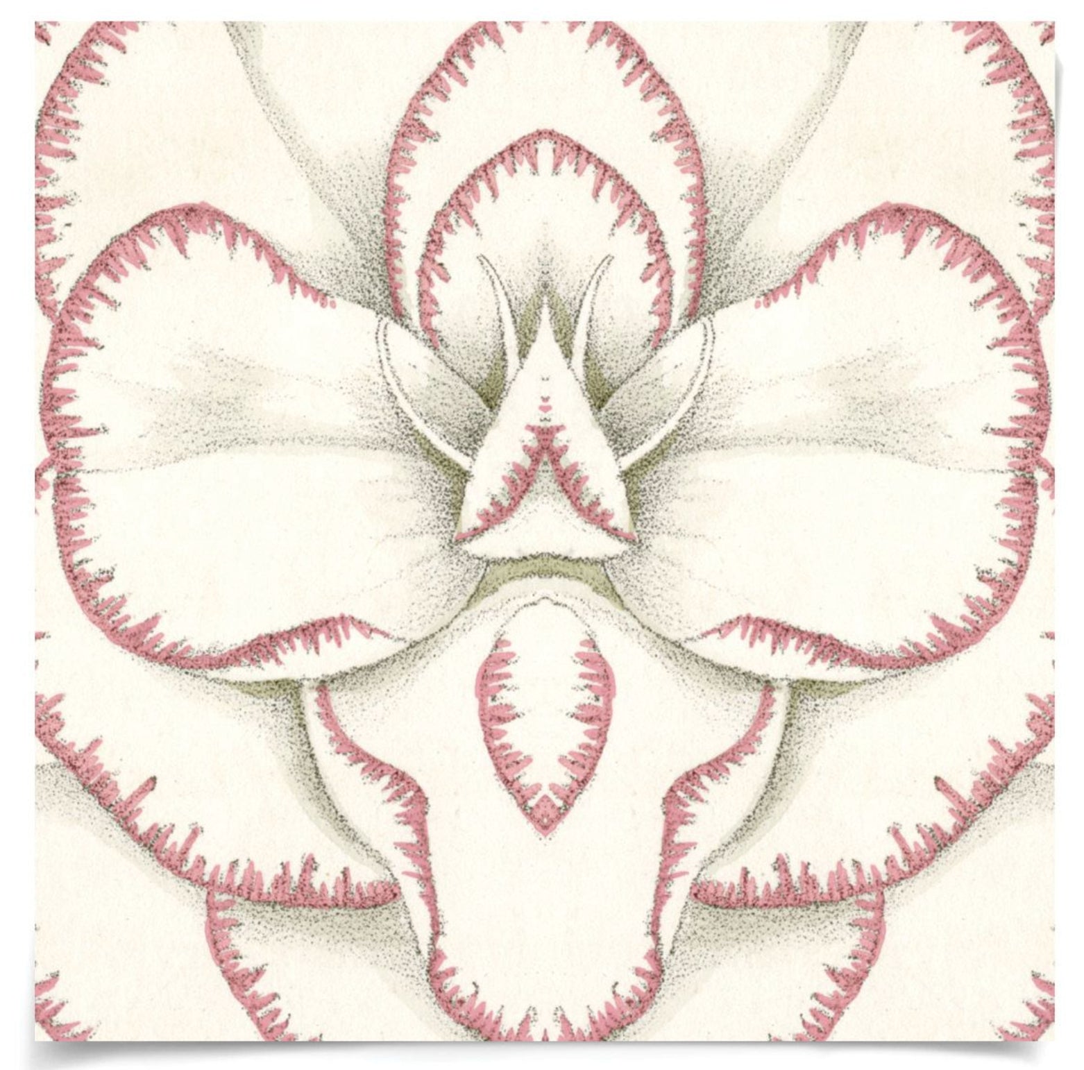 Natural Curiosities Carnations 3 Art