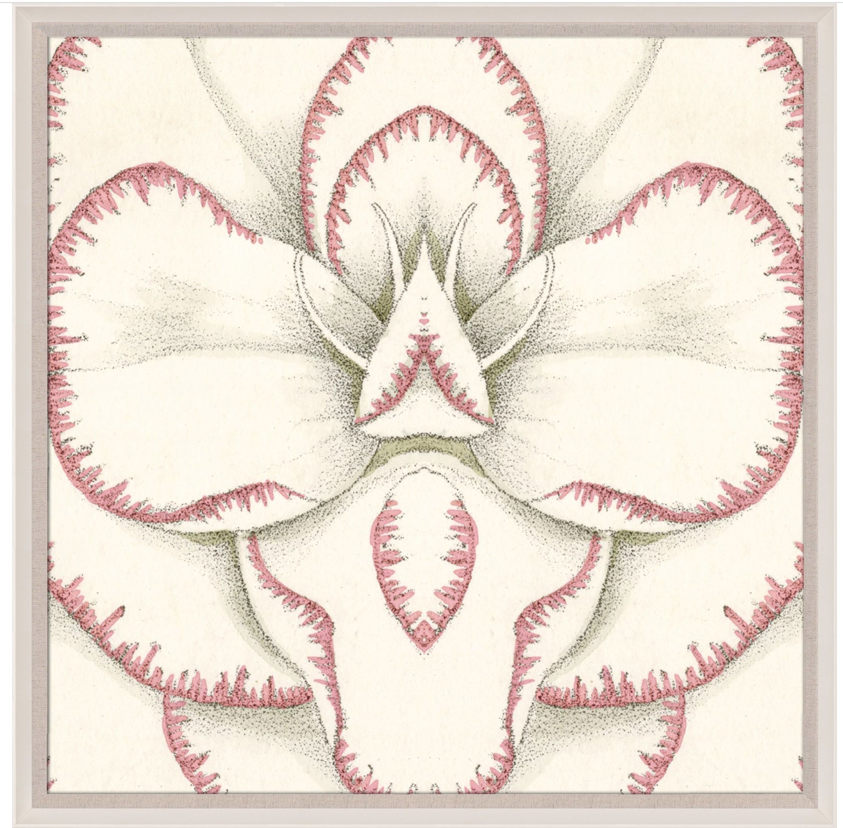 Natural Curiosities Carnations 3 Art