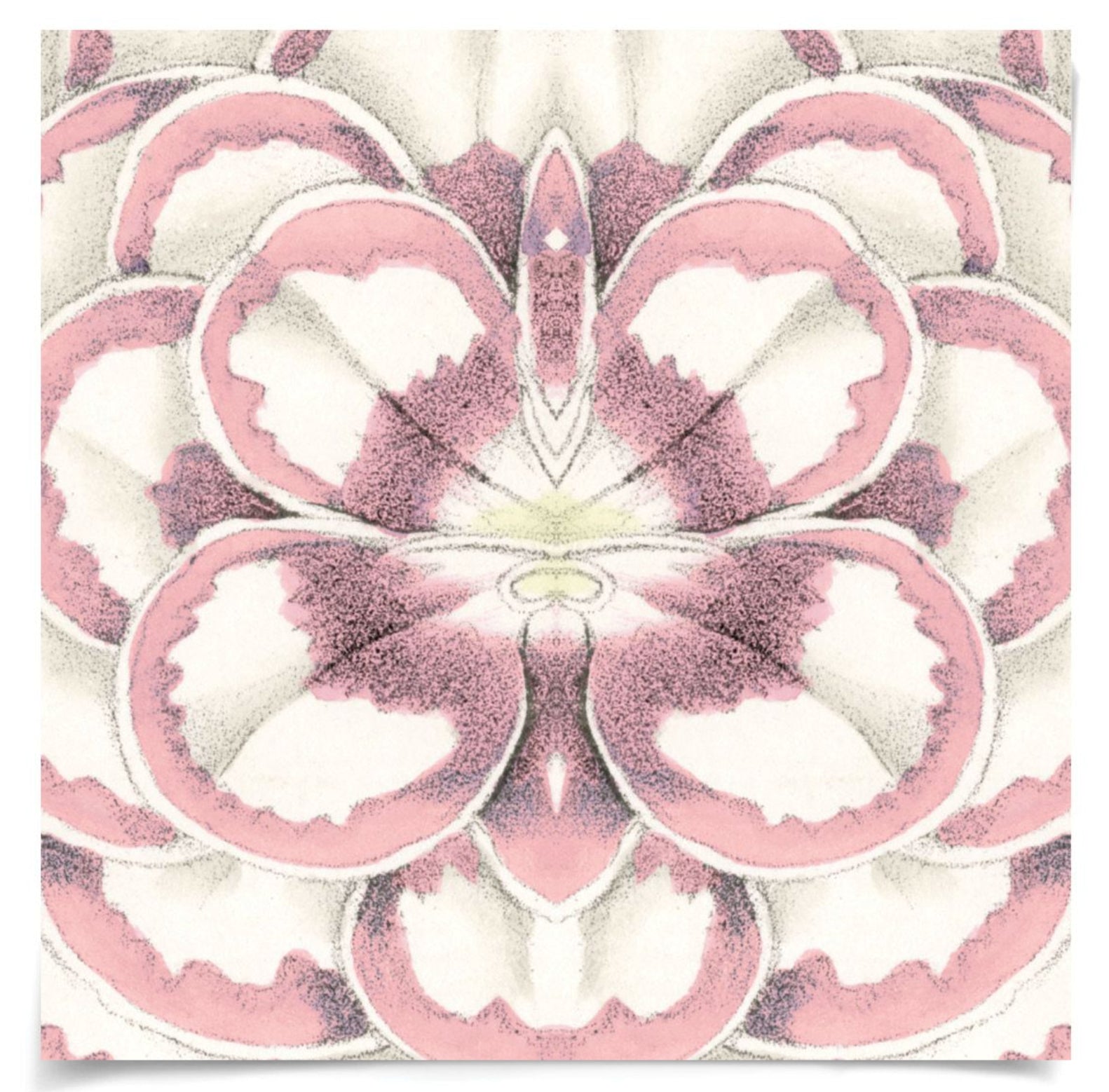 Natural Curiosities Carnations 4 Art