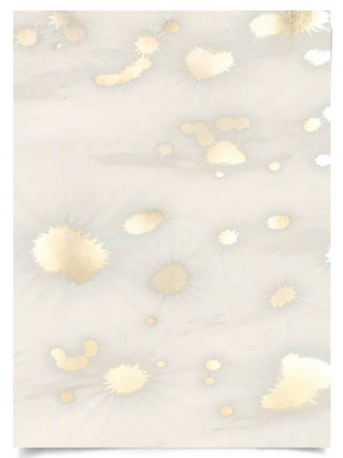 Natural Curiosities Morning Reflection Art, No. 2