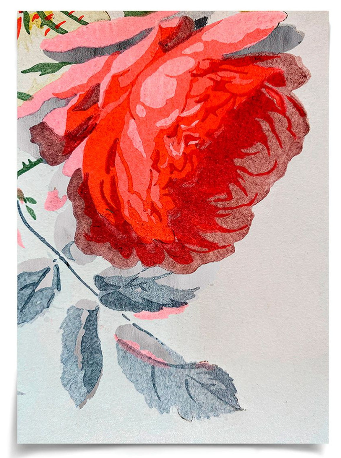 Natural Curiosities Modern Botanical Series 11