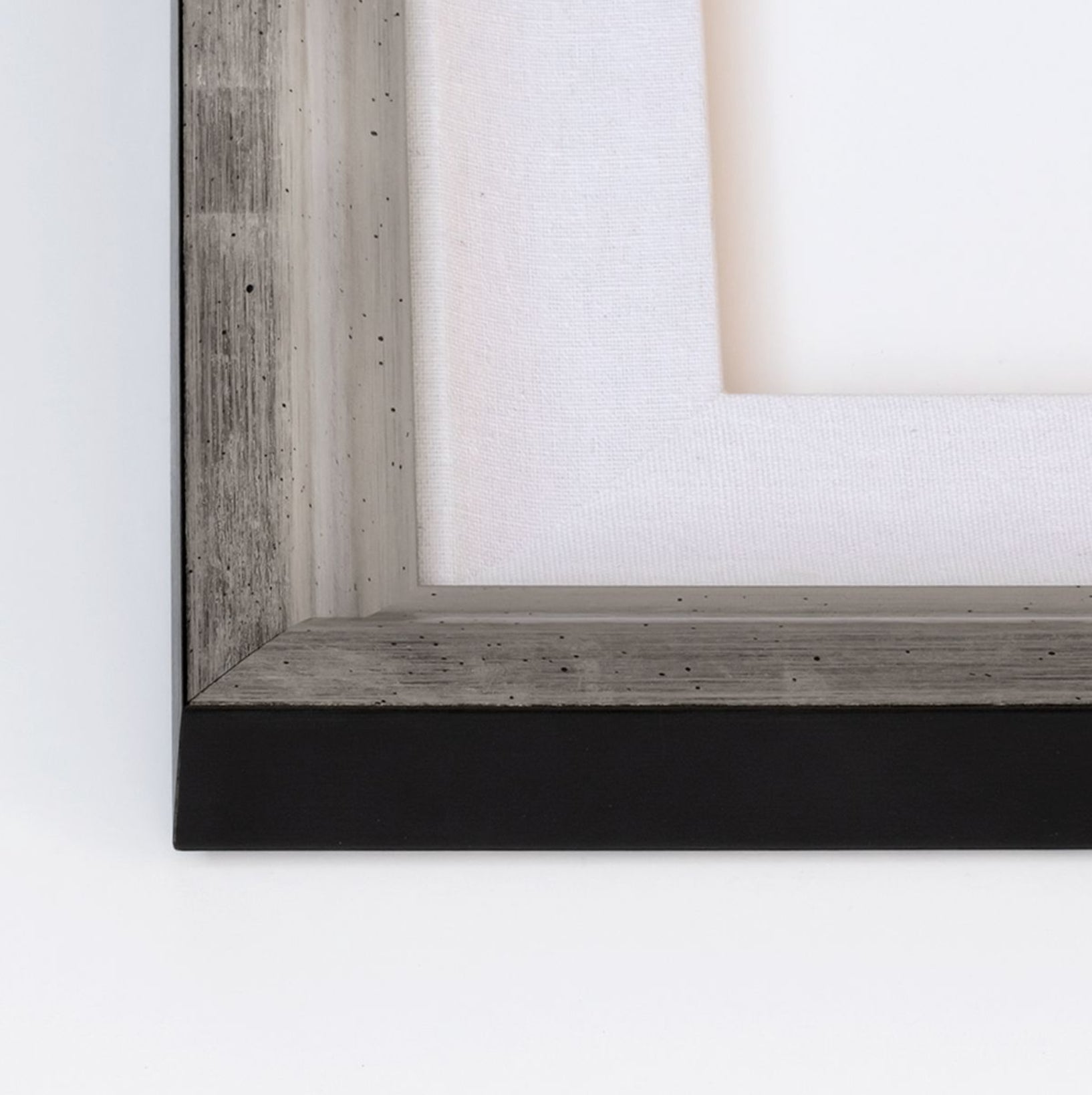 Natural Curiosities Modern Botanical Series 11