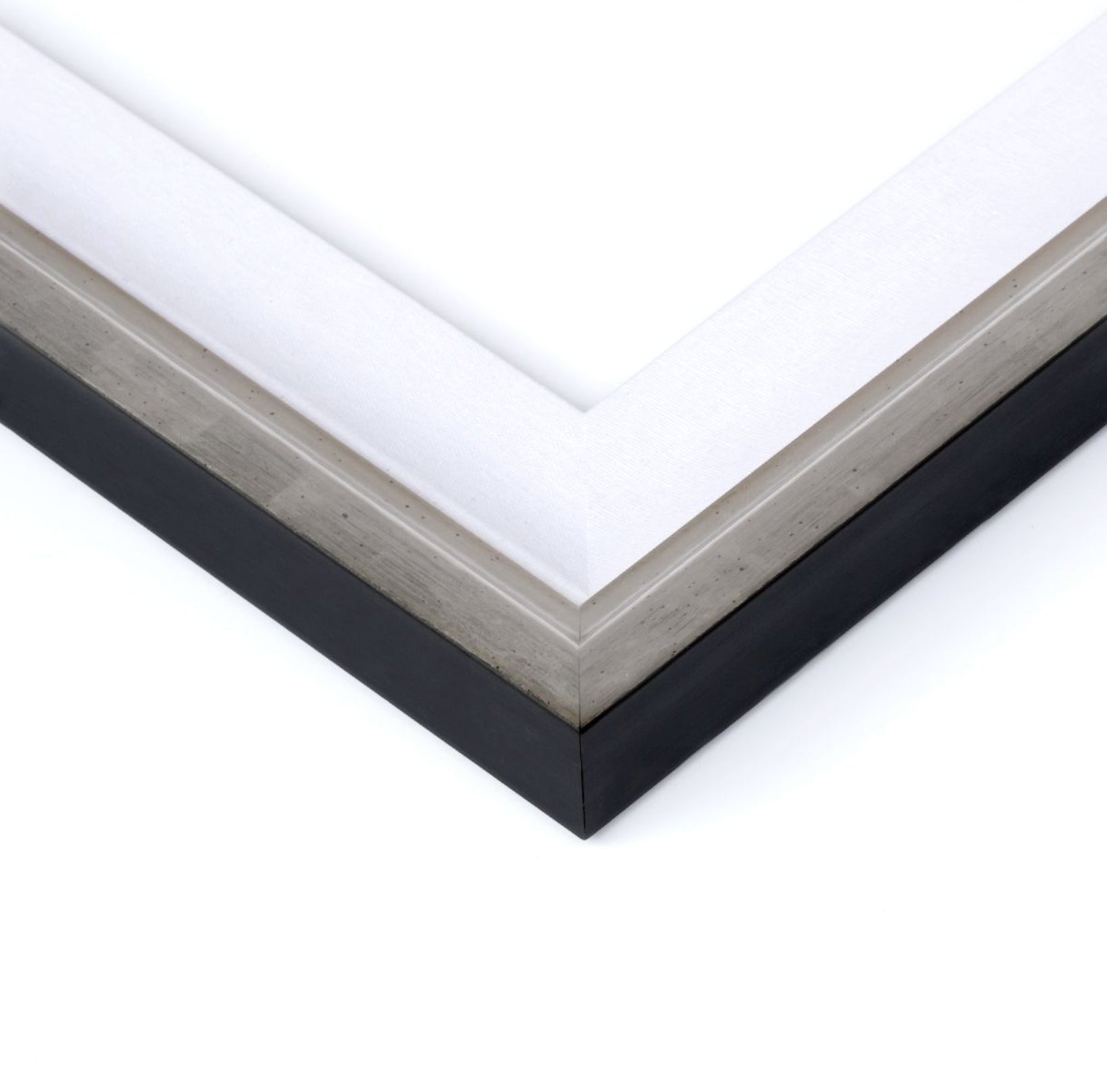 Natural Curiosities Modern Botanical Series 11