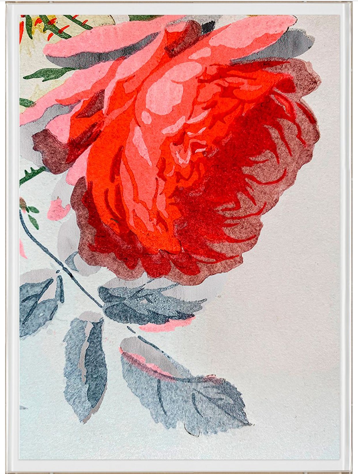 Natural Curiosities Modern Botanical Series 11, No. 1 & No. 2